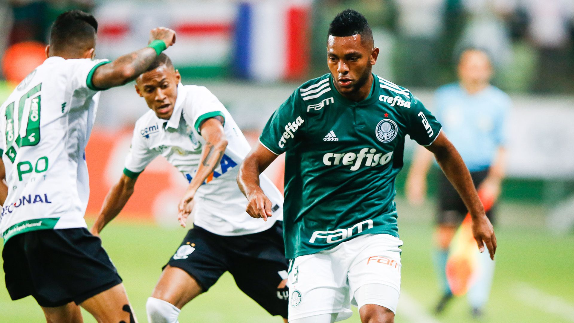 Miguel Borja Palmeiras América-MG Brasileirão Série A 21112018