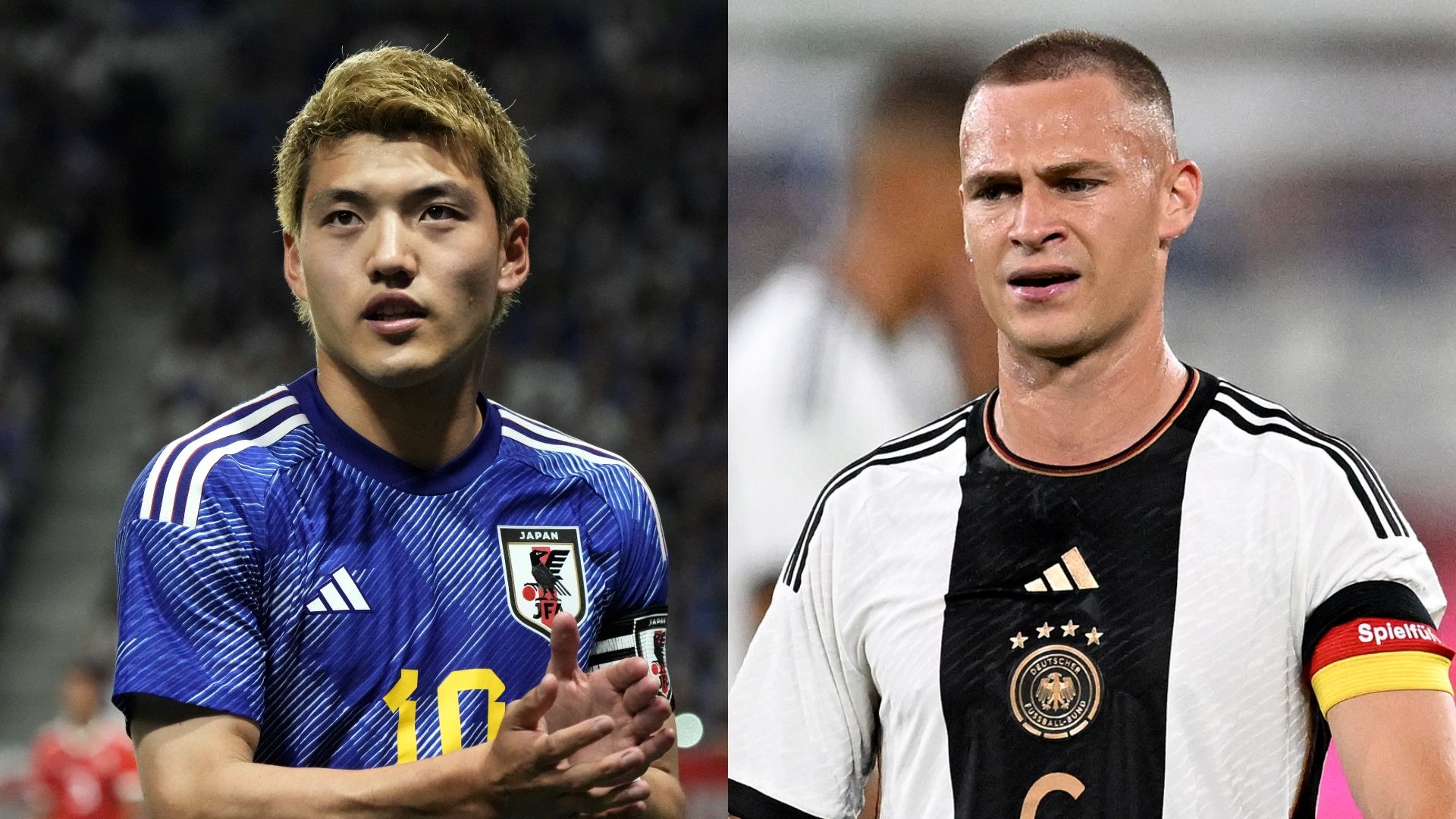 doan-kimmich