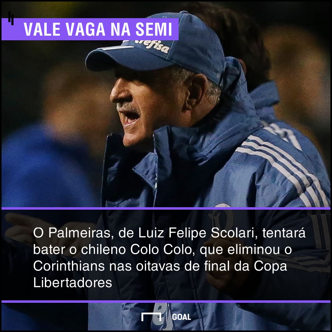 GFX bet365 Colo Colo x Palmeiras