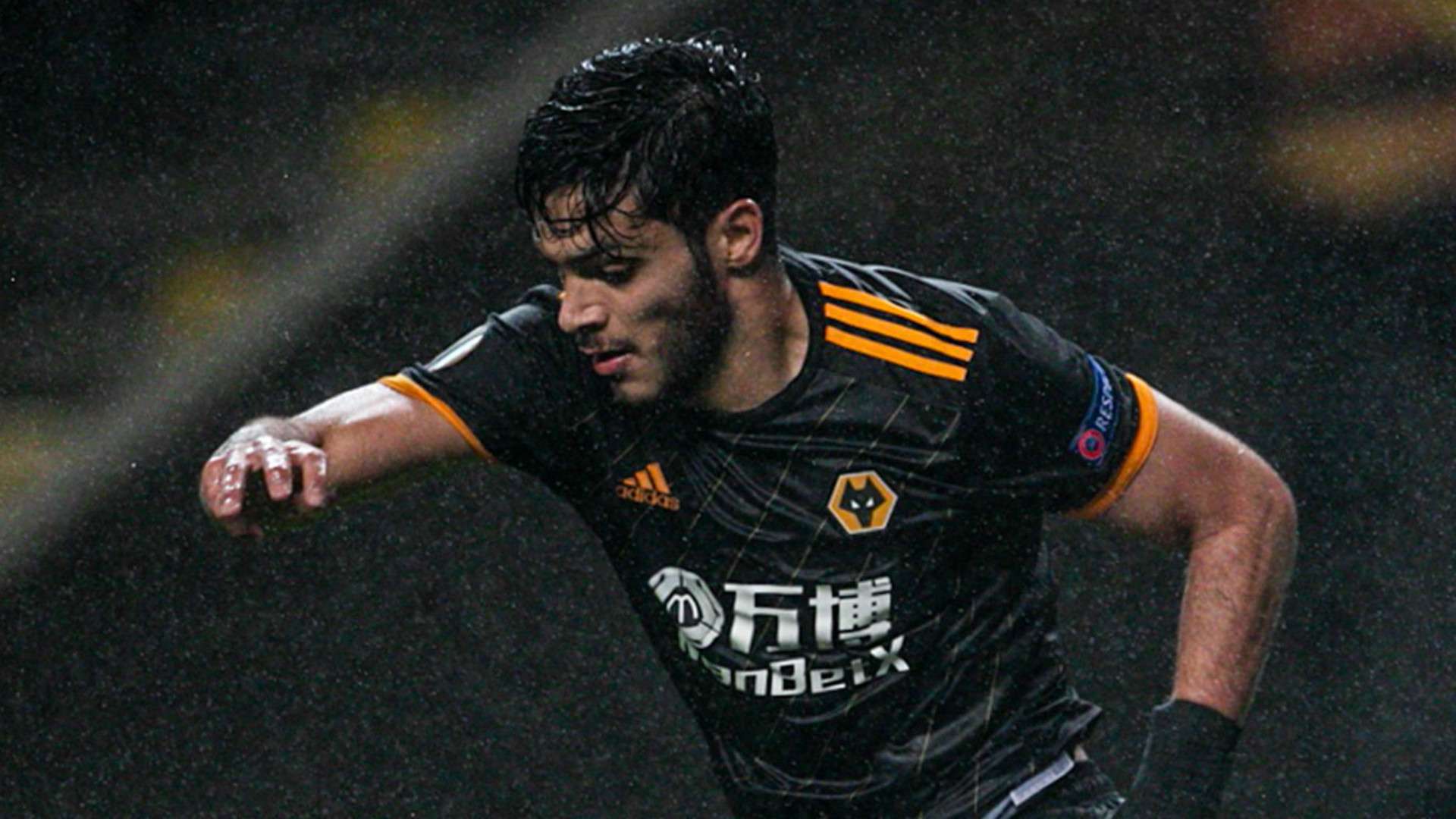 Raul Jimenez Wolves 2019-20