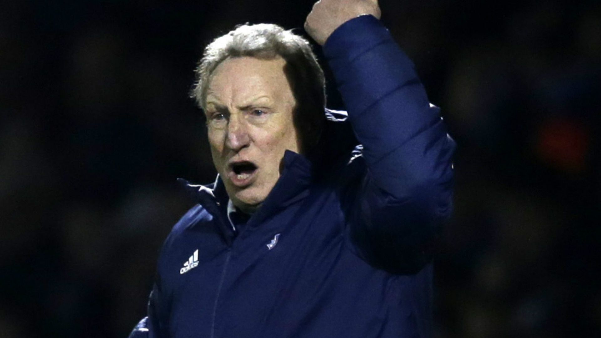 Neil Warnock Cardiff City 2018-19