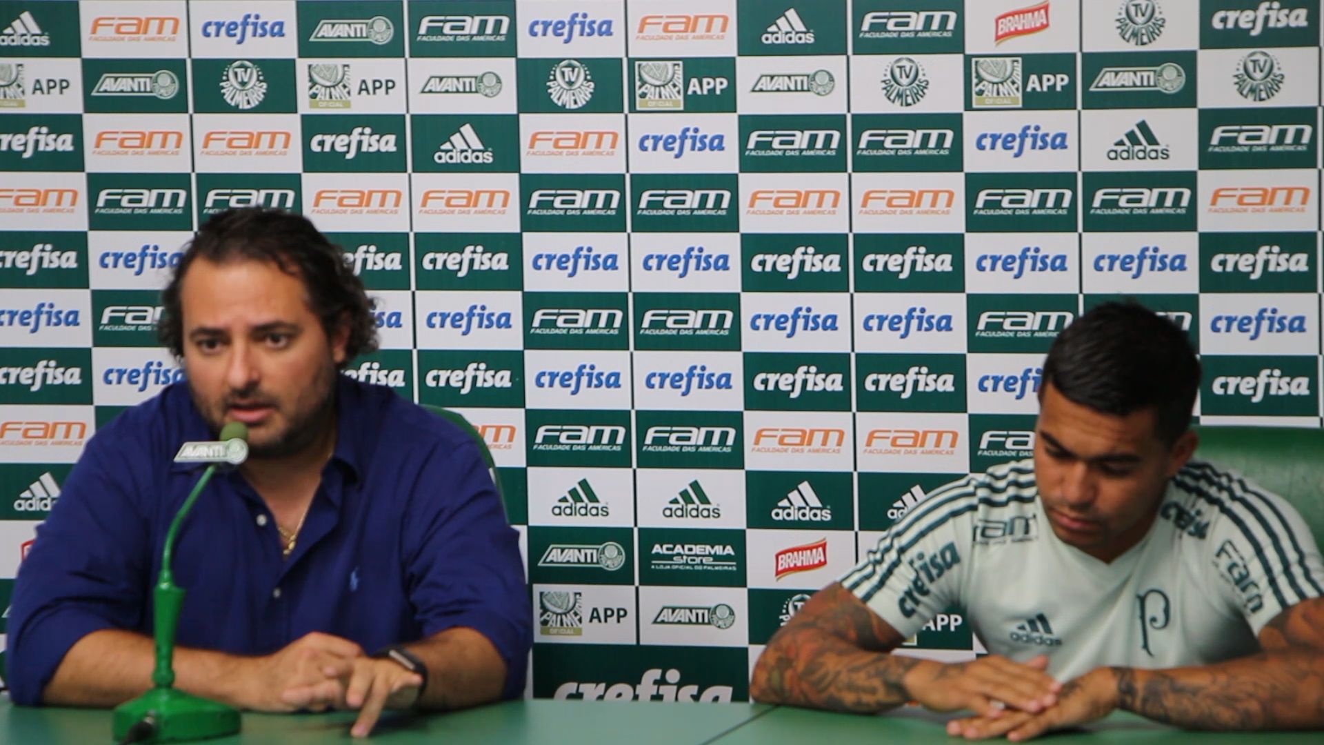 Dudu_Mattos_palmeiras