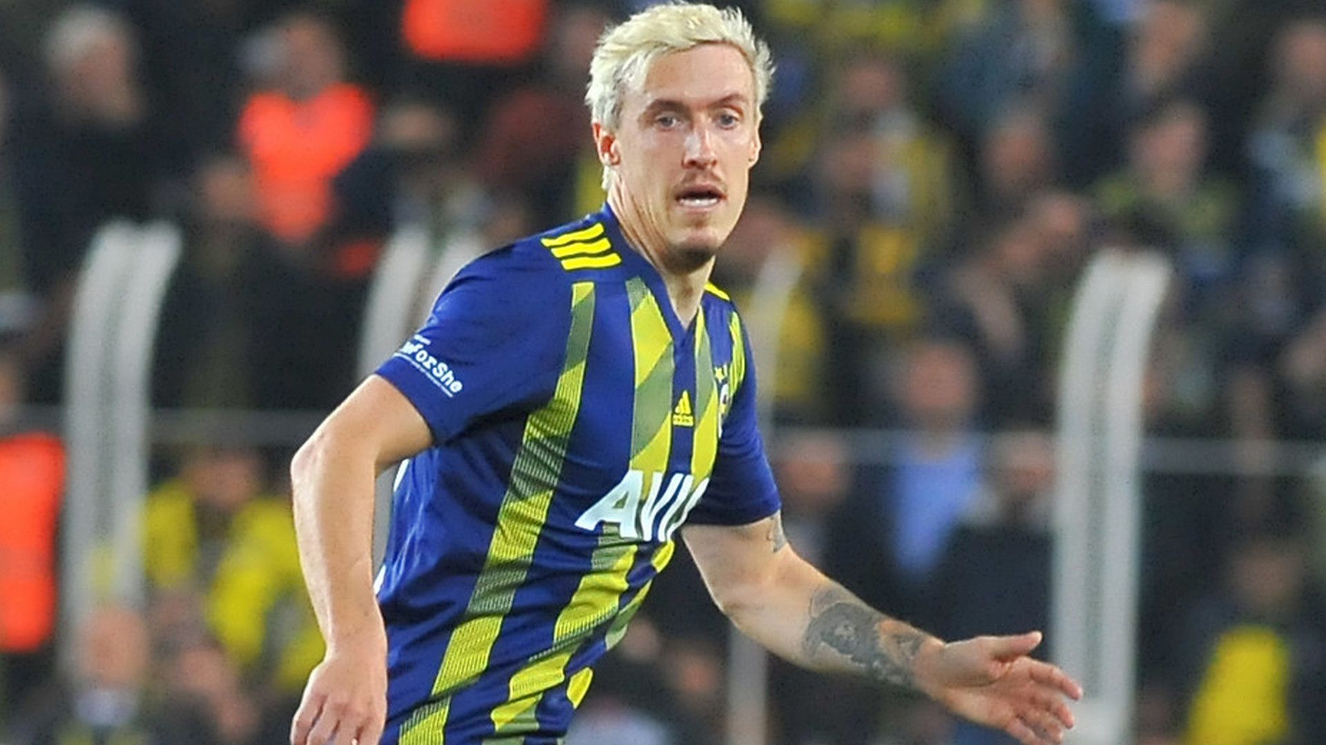 Max Kruse Fenerbahce