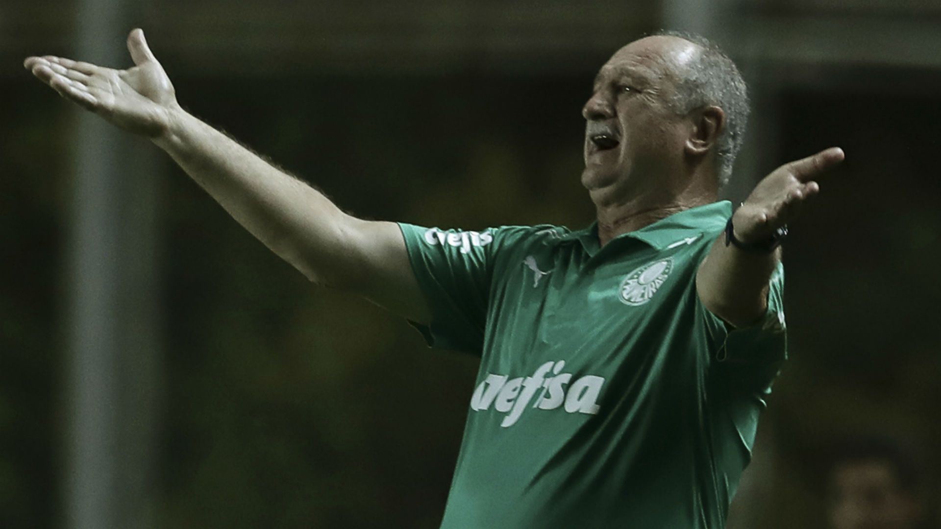 Felipão Scolari San Lorenzo Palmeiras Libertadores 02 04 2019