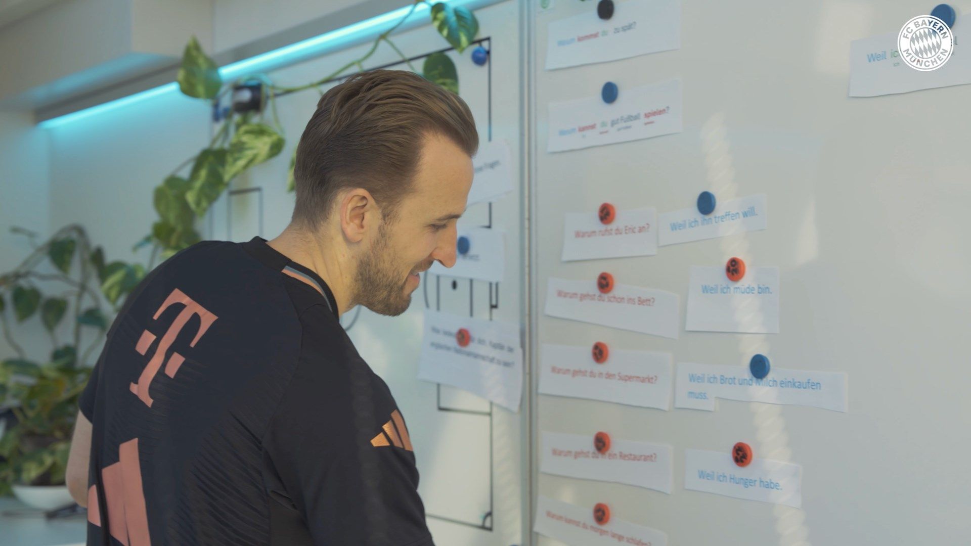 Harry Kane German