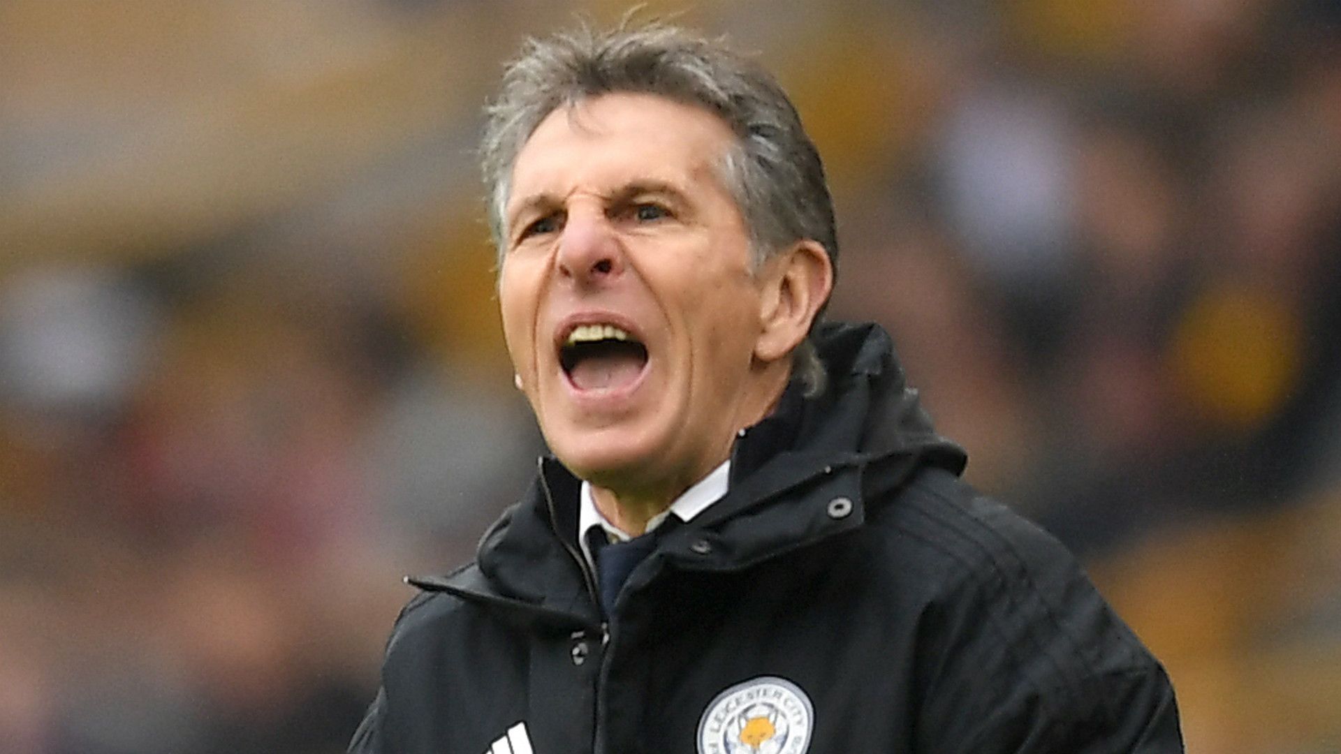 Claude Puel Leicester City 2018-19