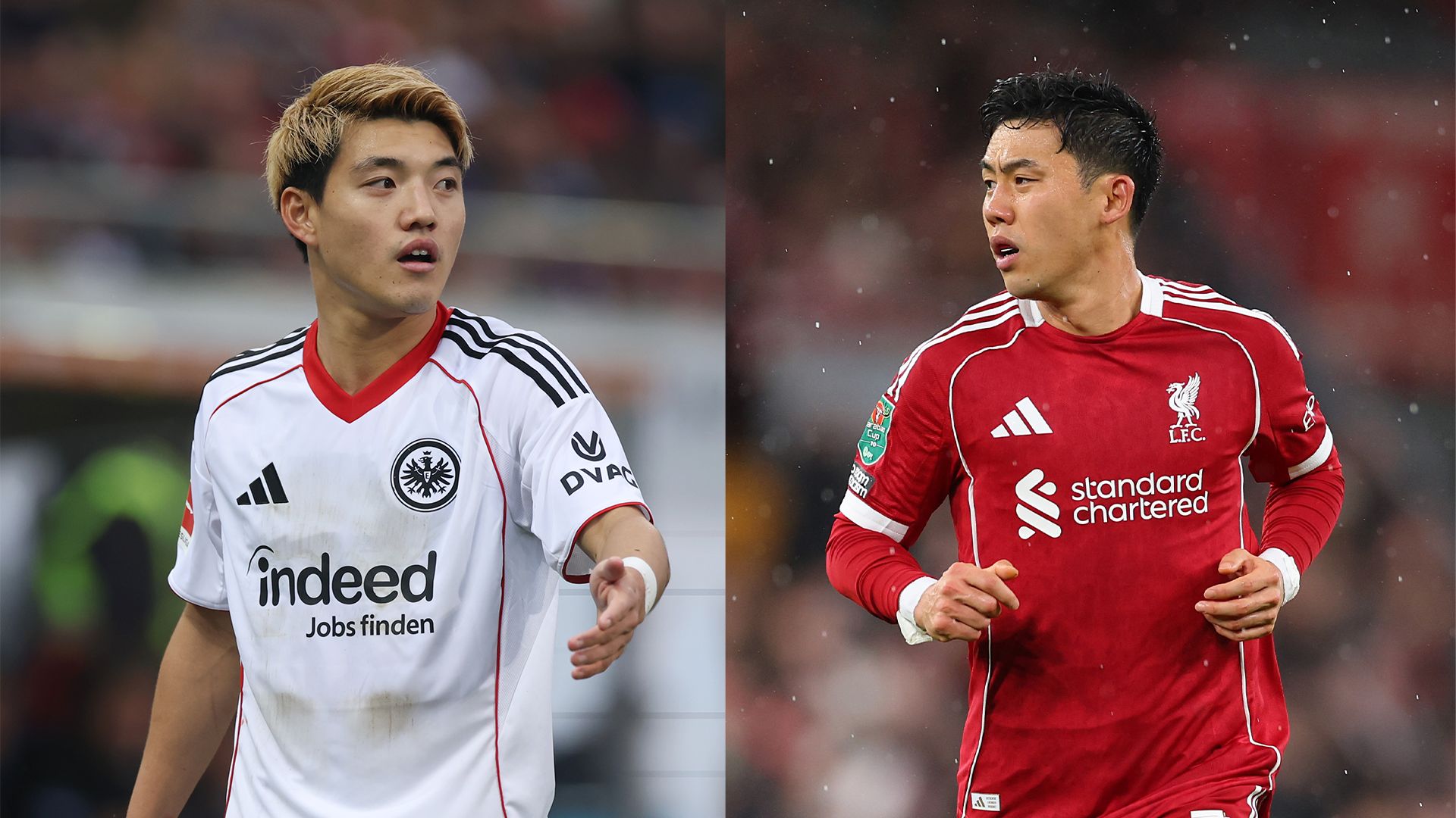 wataru endo ritsu doan