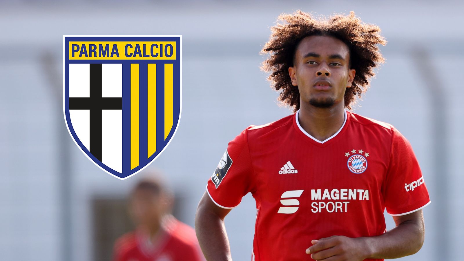 GFX Joshua Zirkzee Parma Calcio