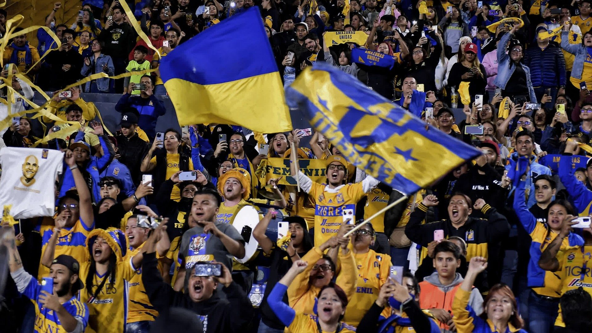 Tigres Femenil fans 2022