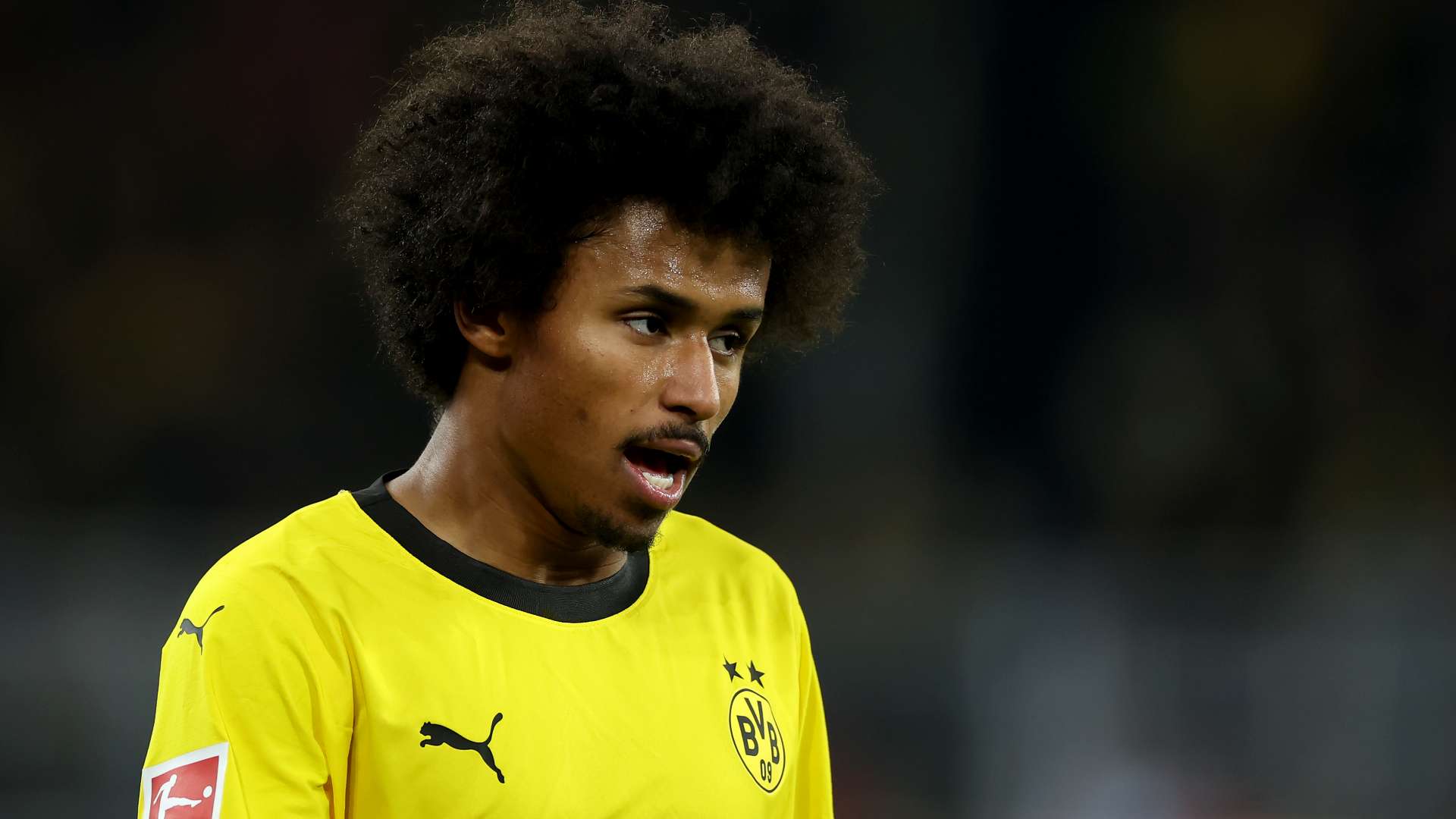 Karim Adeyemi Borussia Dortmund 2023-24