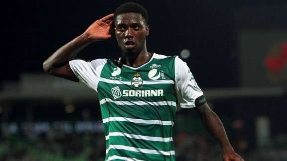 دجانيني تافاريس