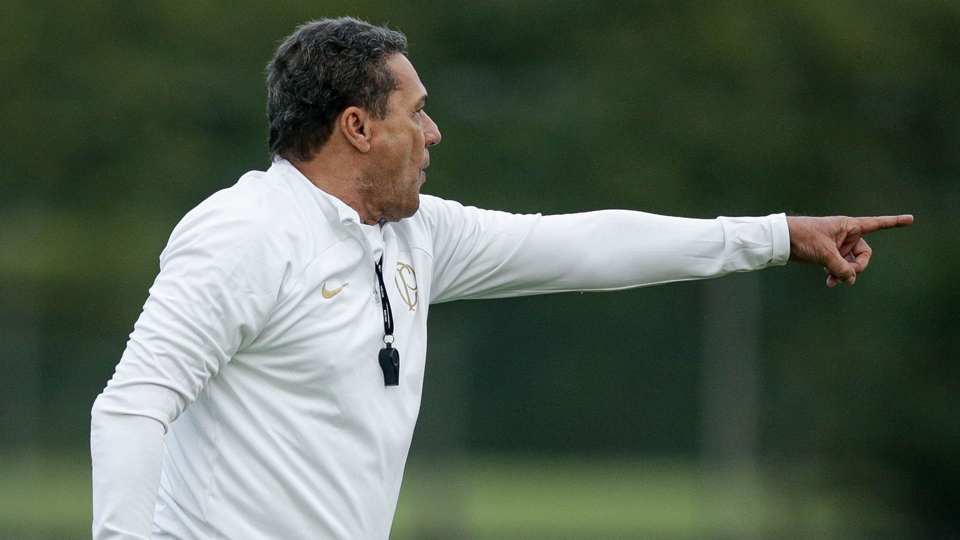 Vanderlei Luxemburgo