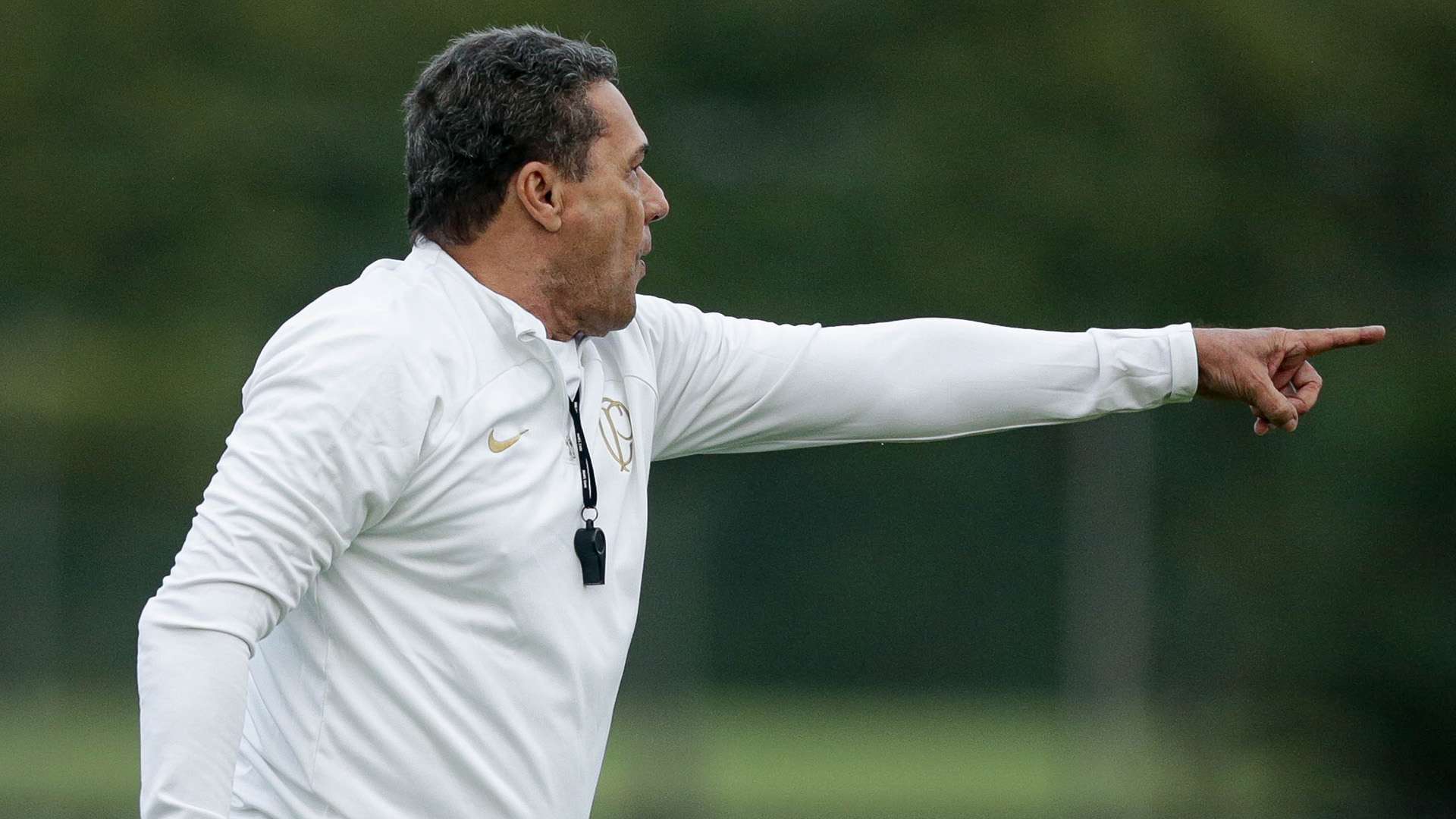 Vanderlei Luxemburgo