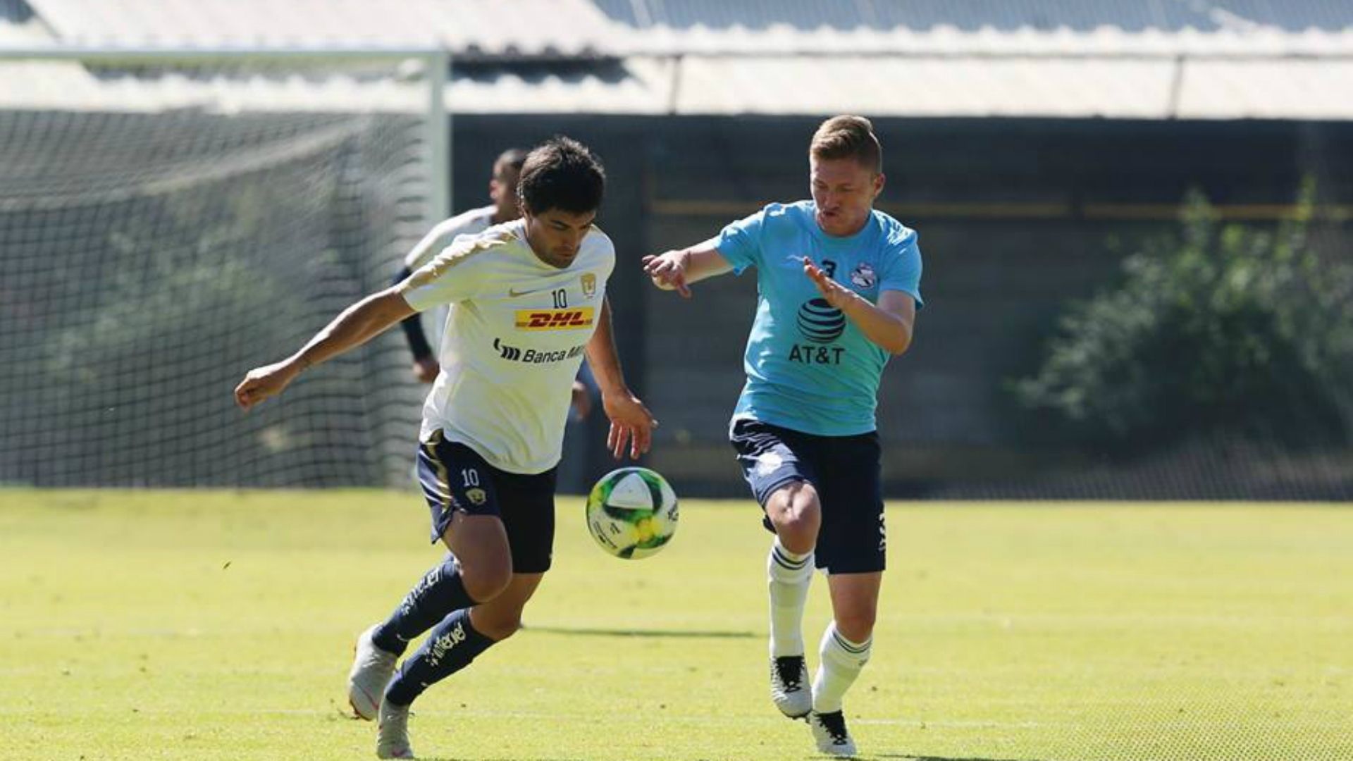 Partidos Pumas
