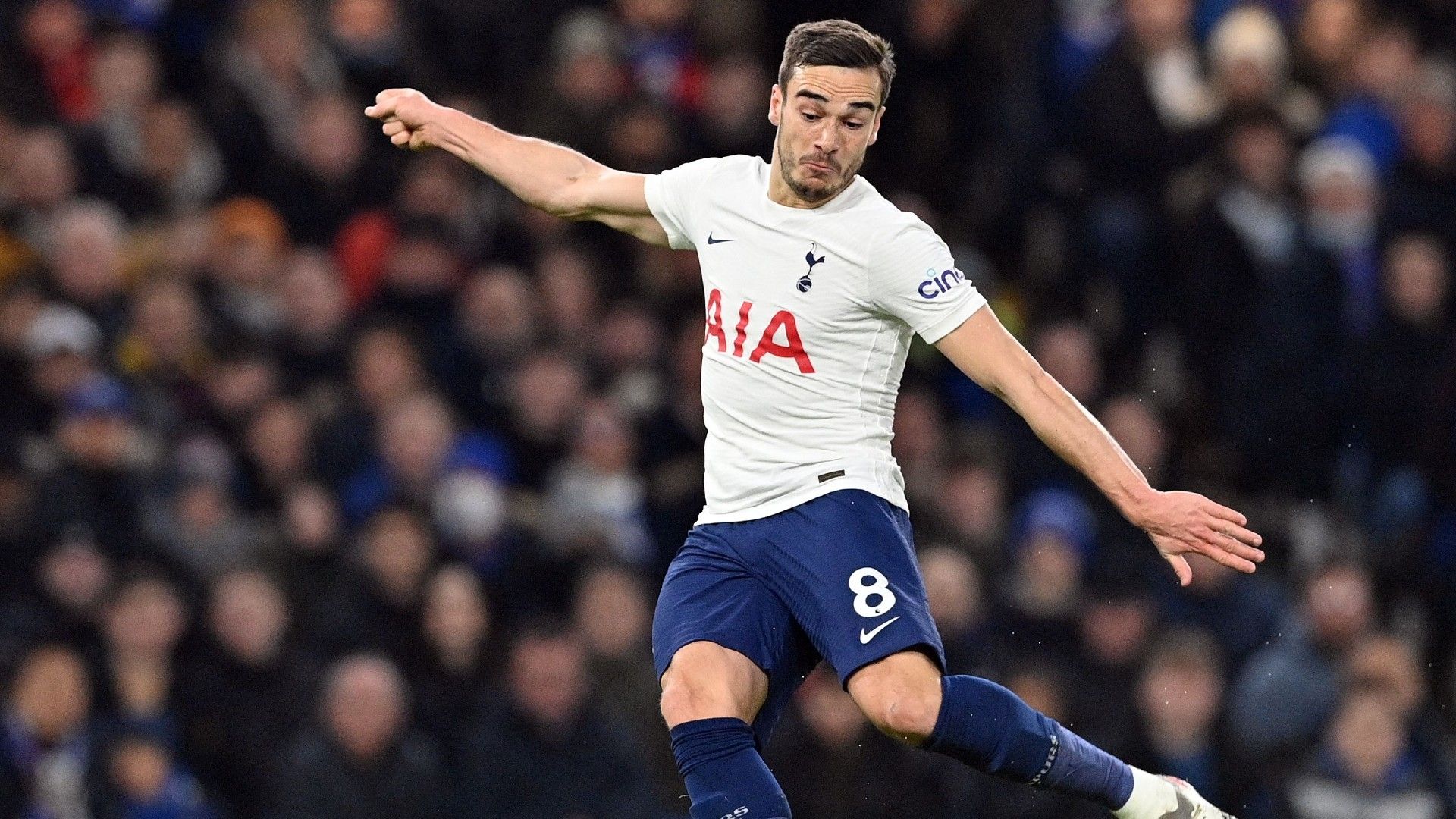 Harry Winks Tottenham 2022