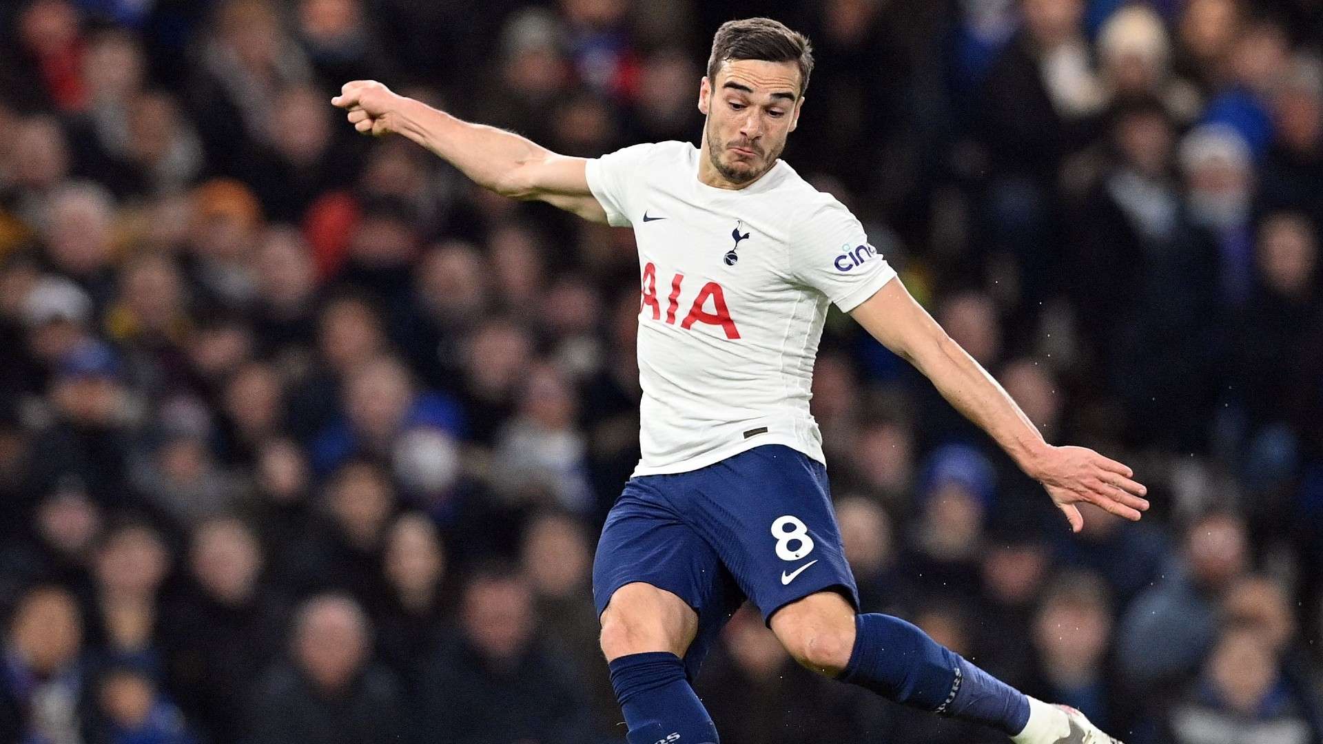 Harry Winks Tottenham 2022