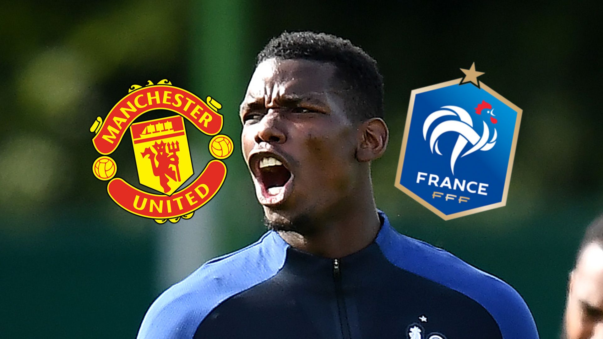 Paul Pogba France