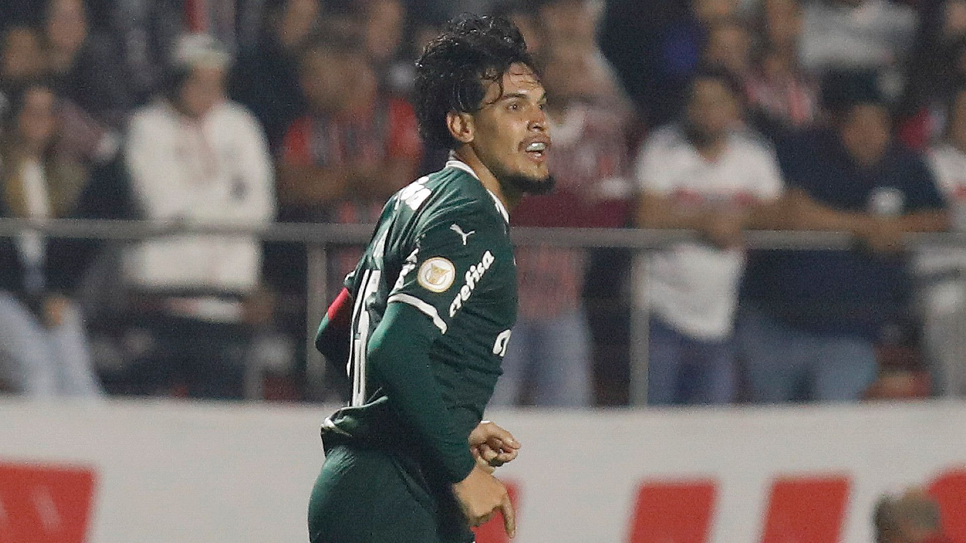 Gustavo Gomez Palmeiras 