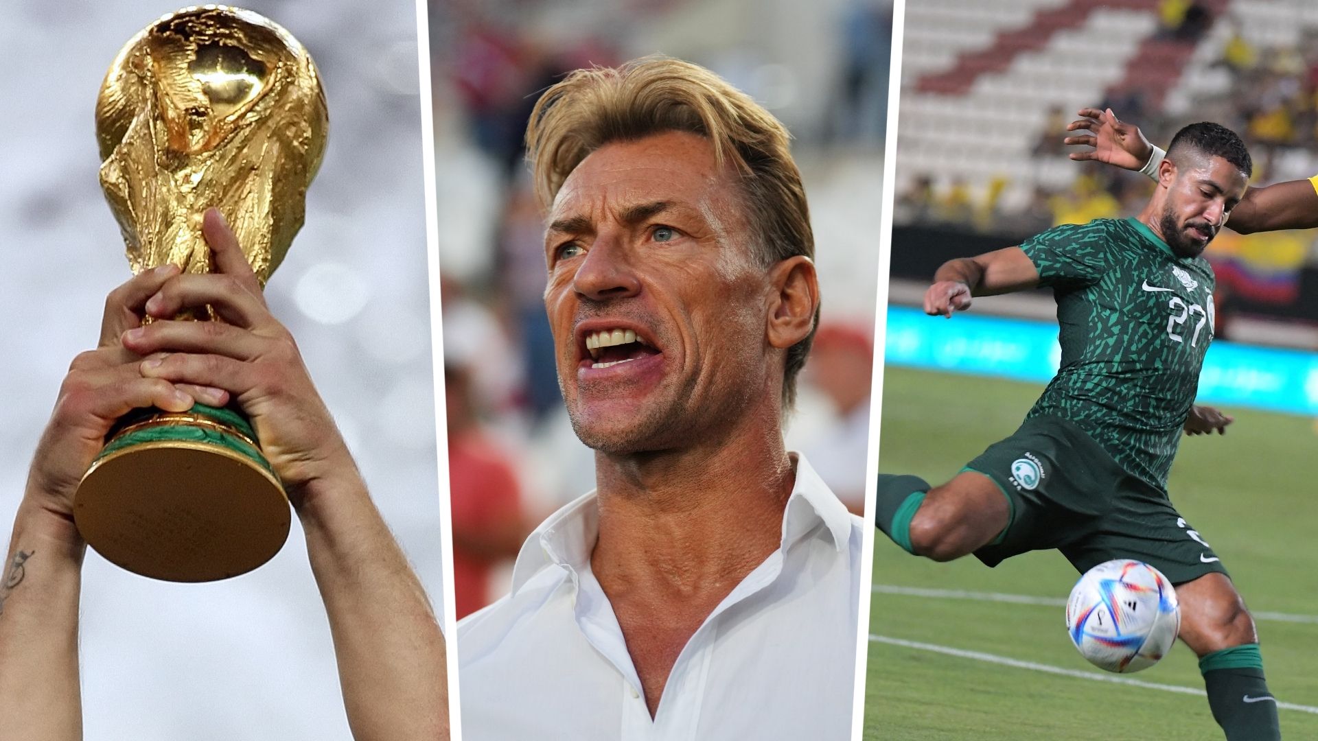 world cup - herve renard