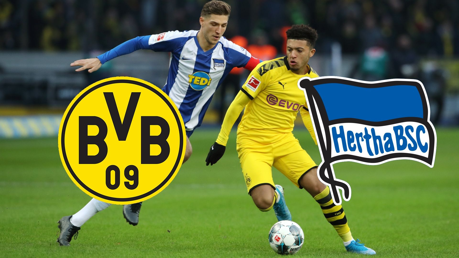GFX BVB Hertha BSC 2019