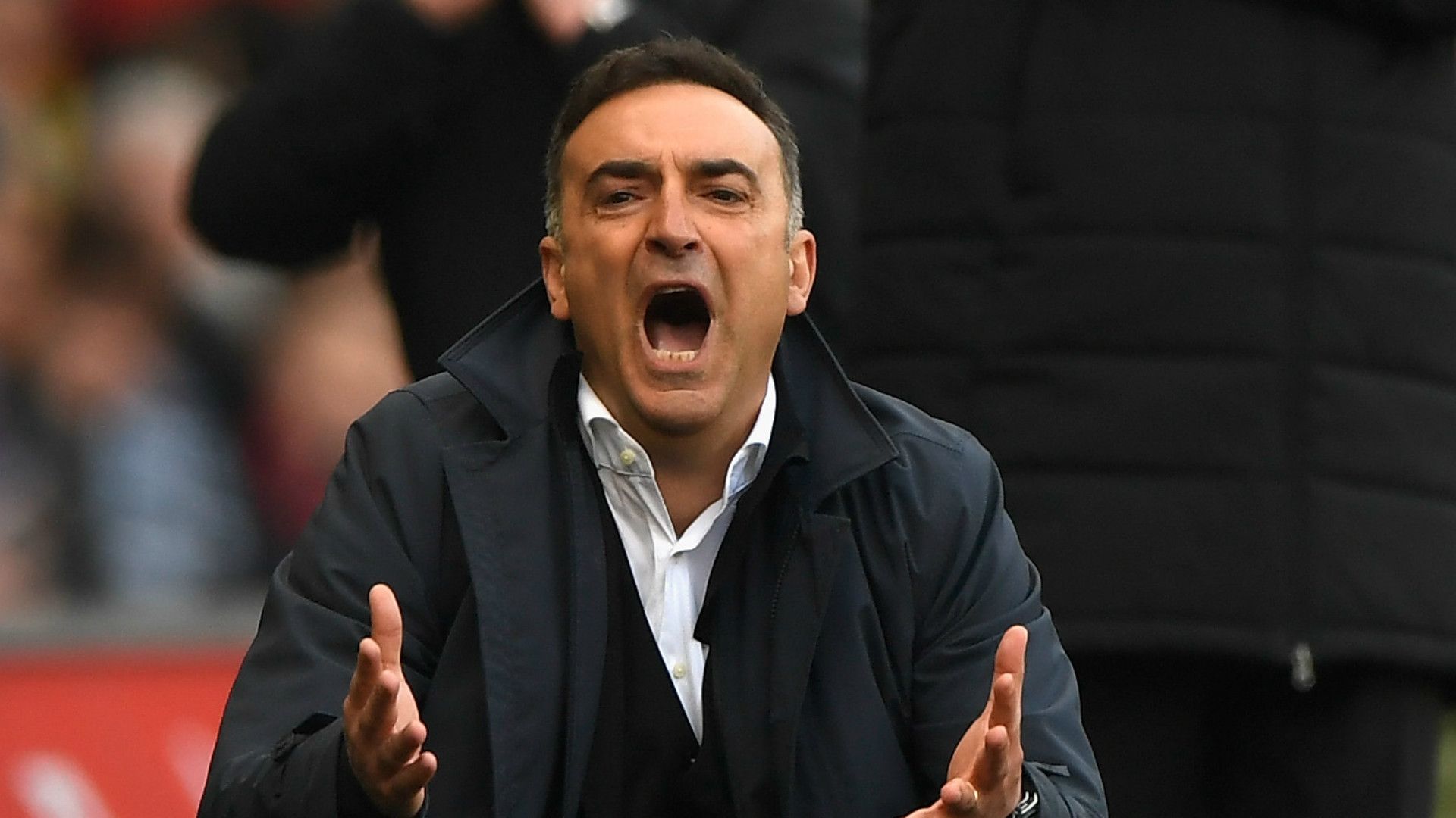Carlos Carvalhal Swansea City 2017-18