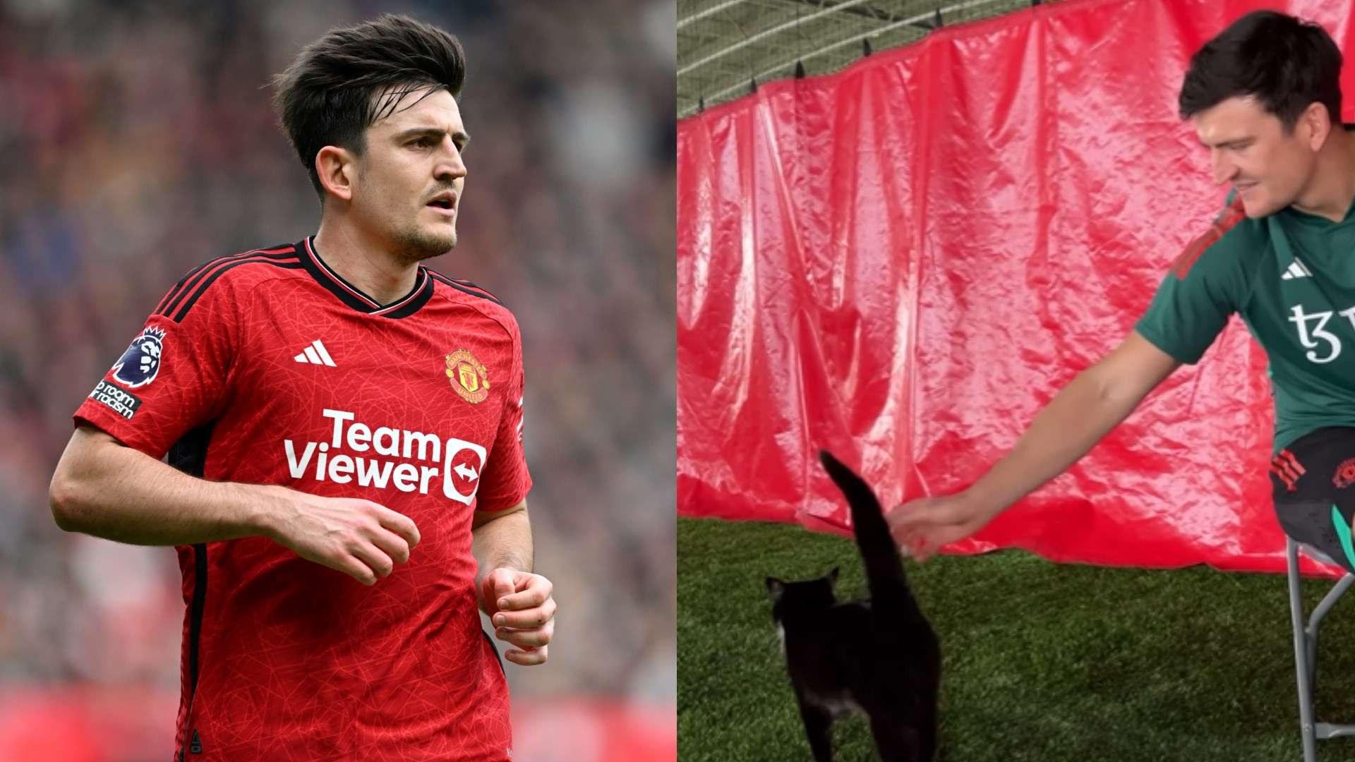 Harry Maguire and cat