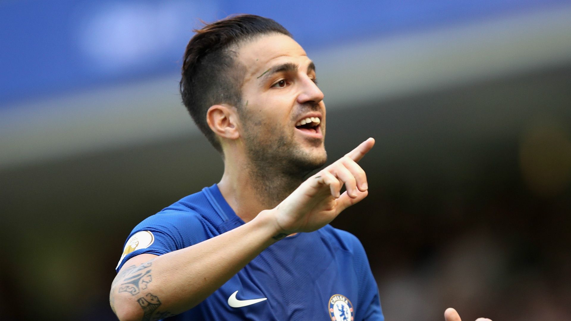 Cesc Fabregas Chelsea