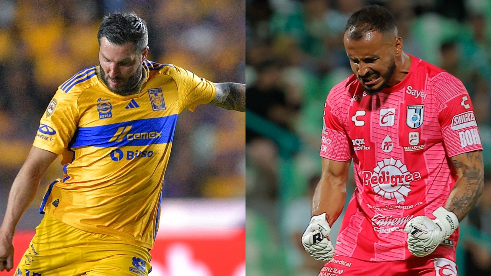 Tigres Querétaro Apertura 2023