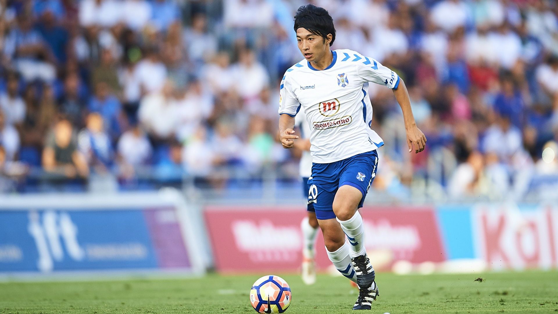 tenerife-gaku-shibasaki-0621-07