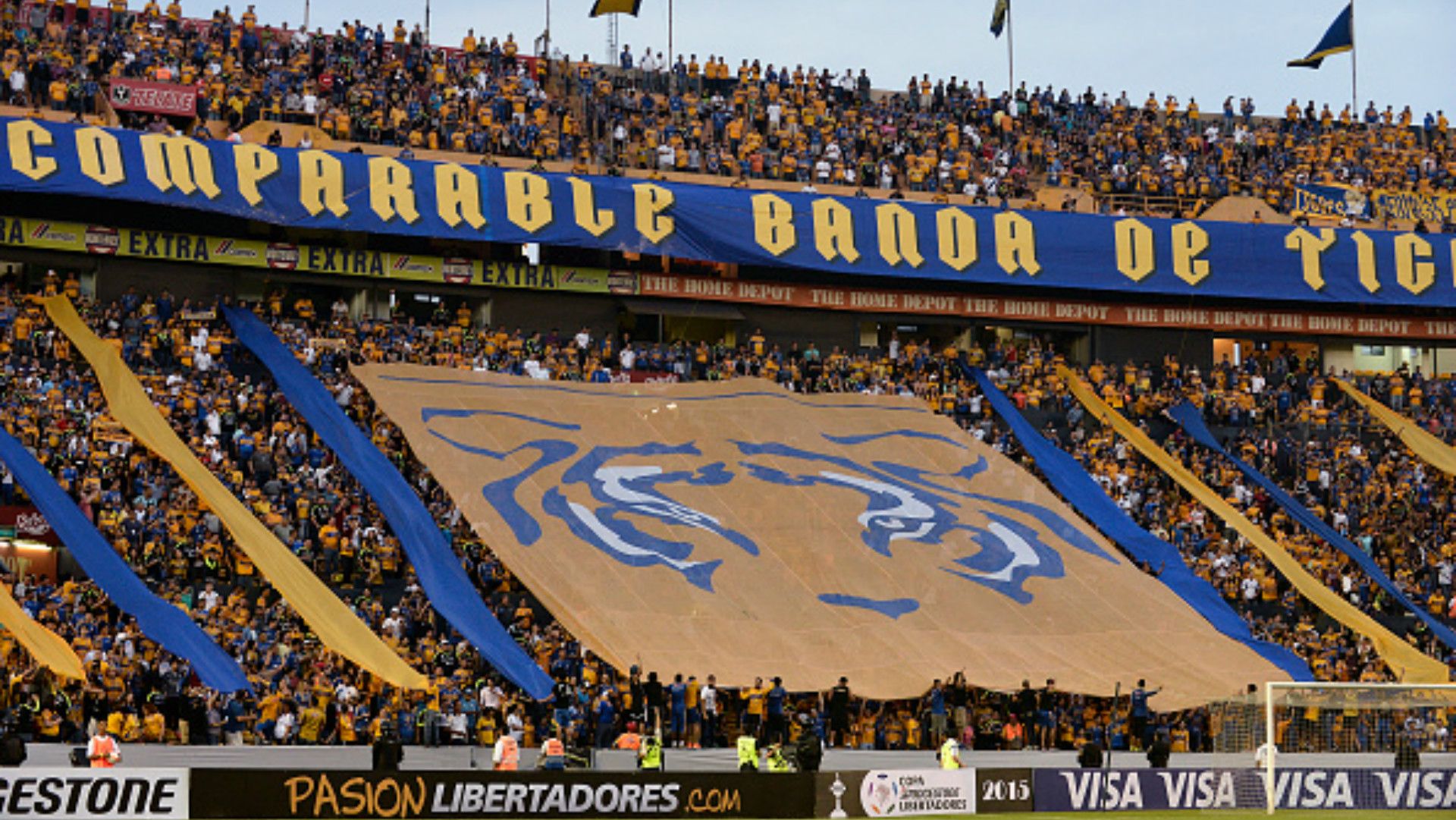 Tigres fans