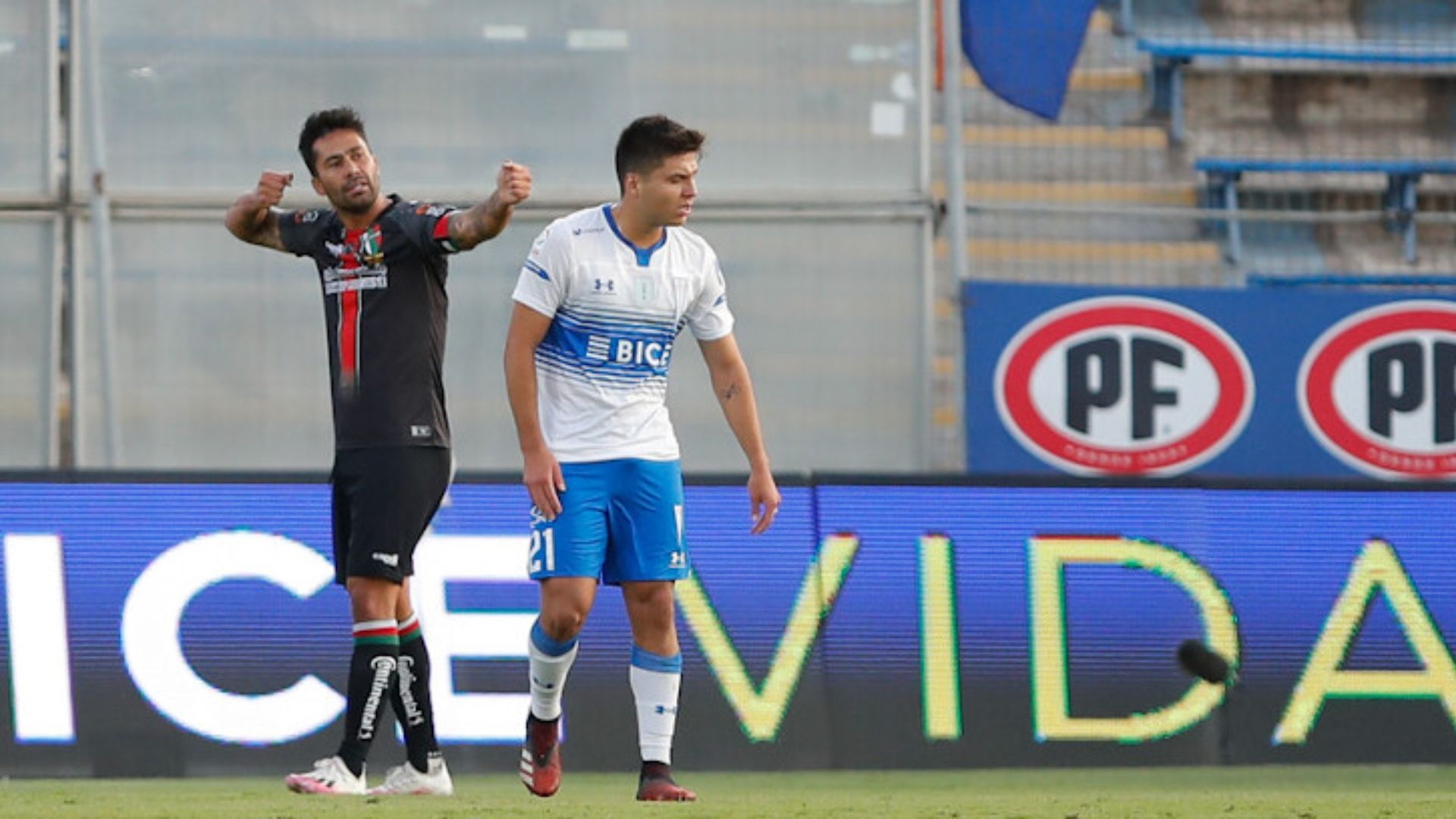 Palestino - Universidad Católica