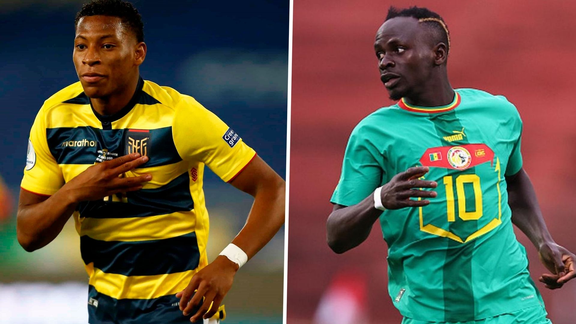  Ecuador Senegal Mundial Qatar 2022