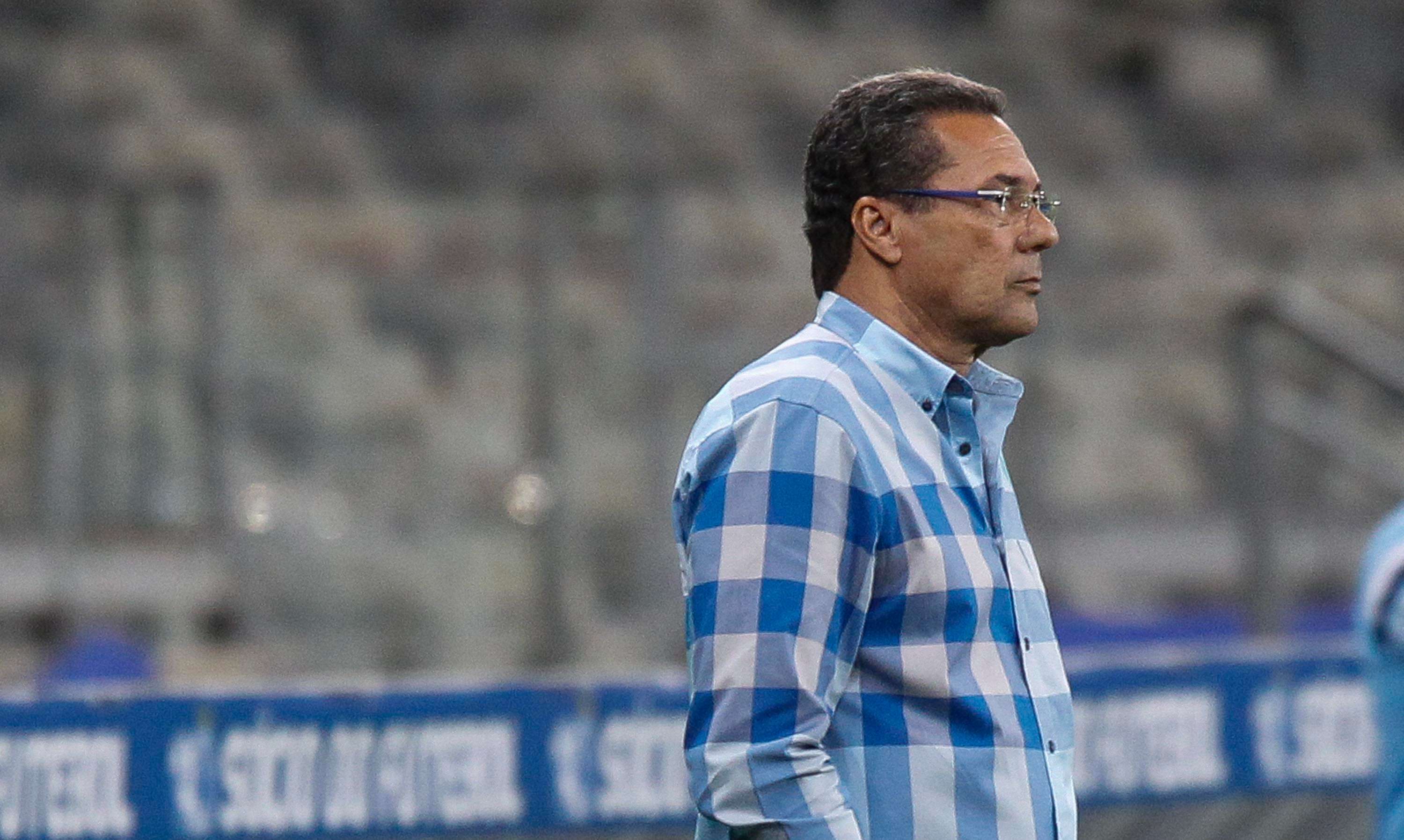 Vanderlei Luxemburgo Cruzeiro Palmeiras 27082015