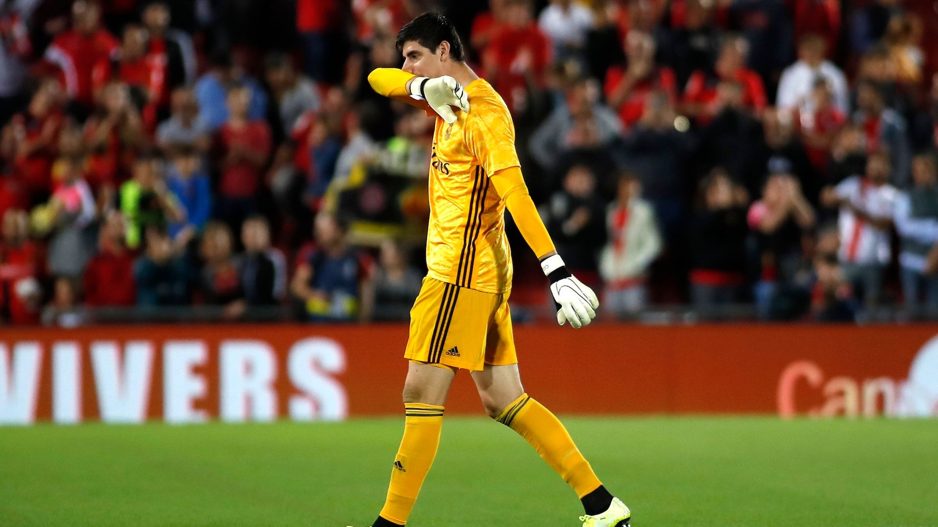Thibaut Courtois Mallorca Real Madrid LaLiga