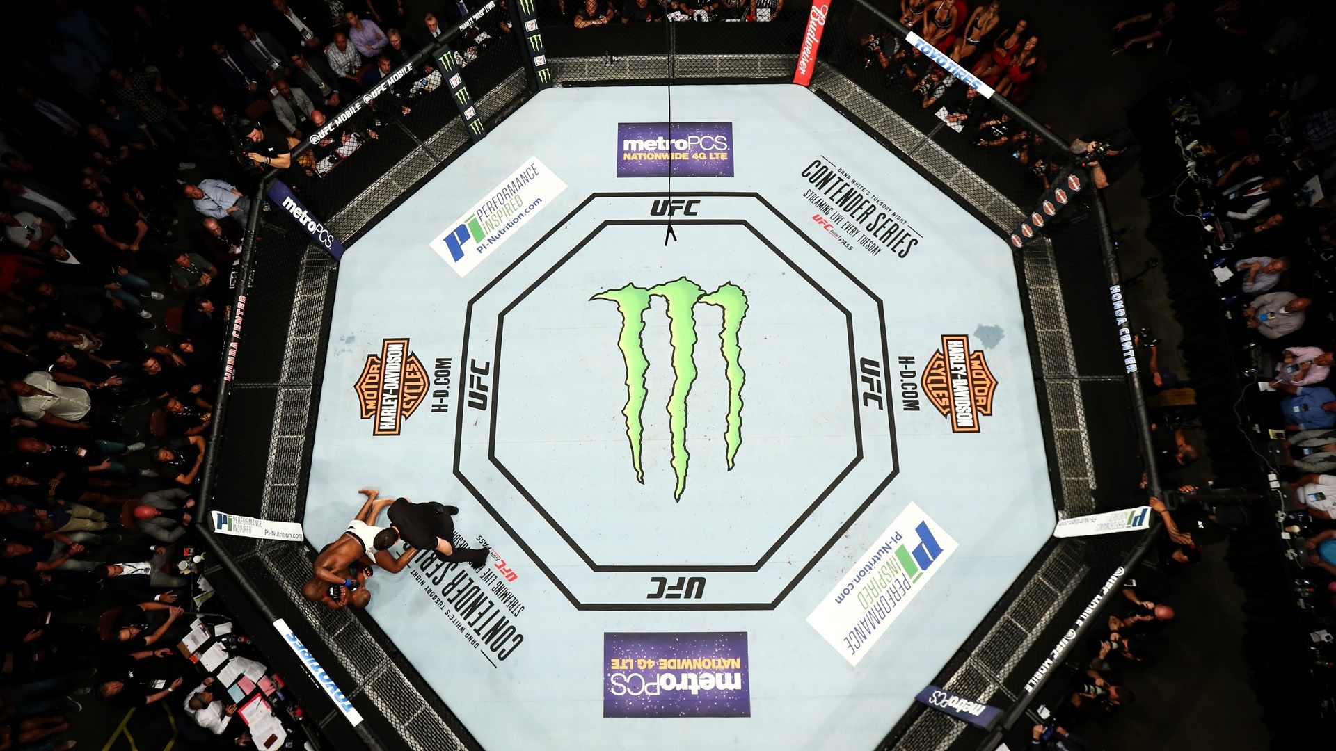 UFC Octagon Juli 2017