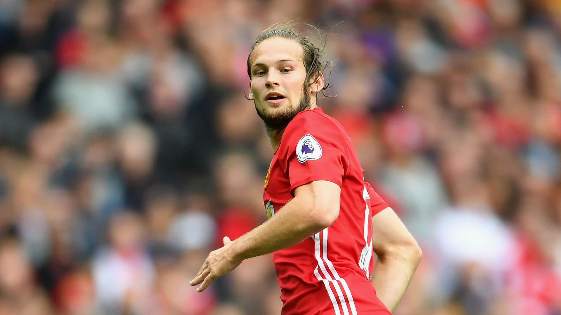 HD Daley Blind