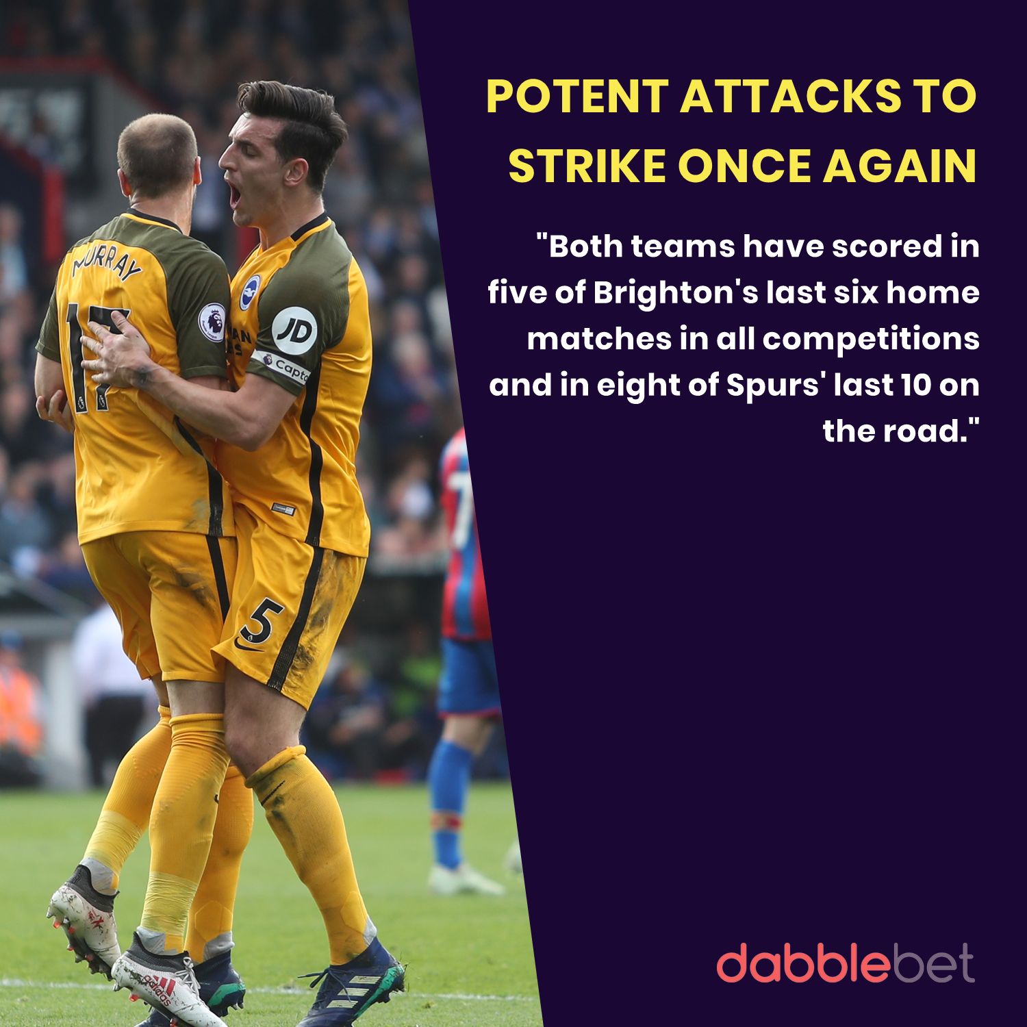 Brighton Spurs graphic