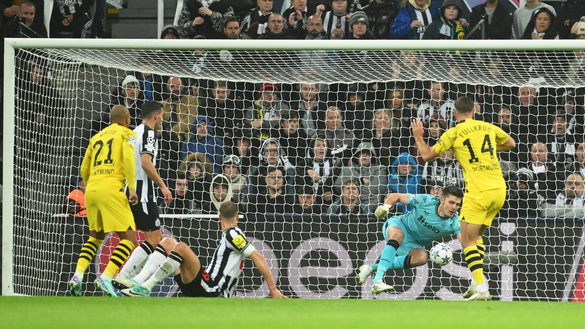 Nick Pope Newcastle Dortmund Champions League 2023-24