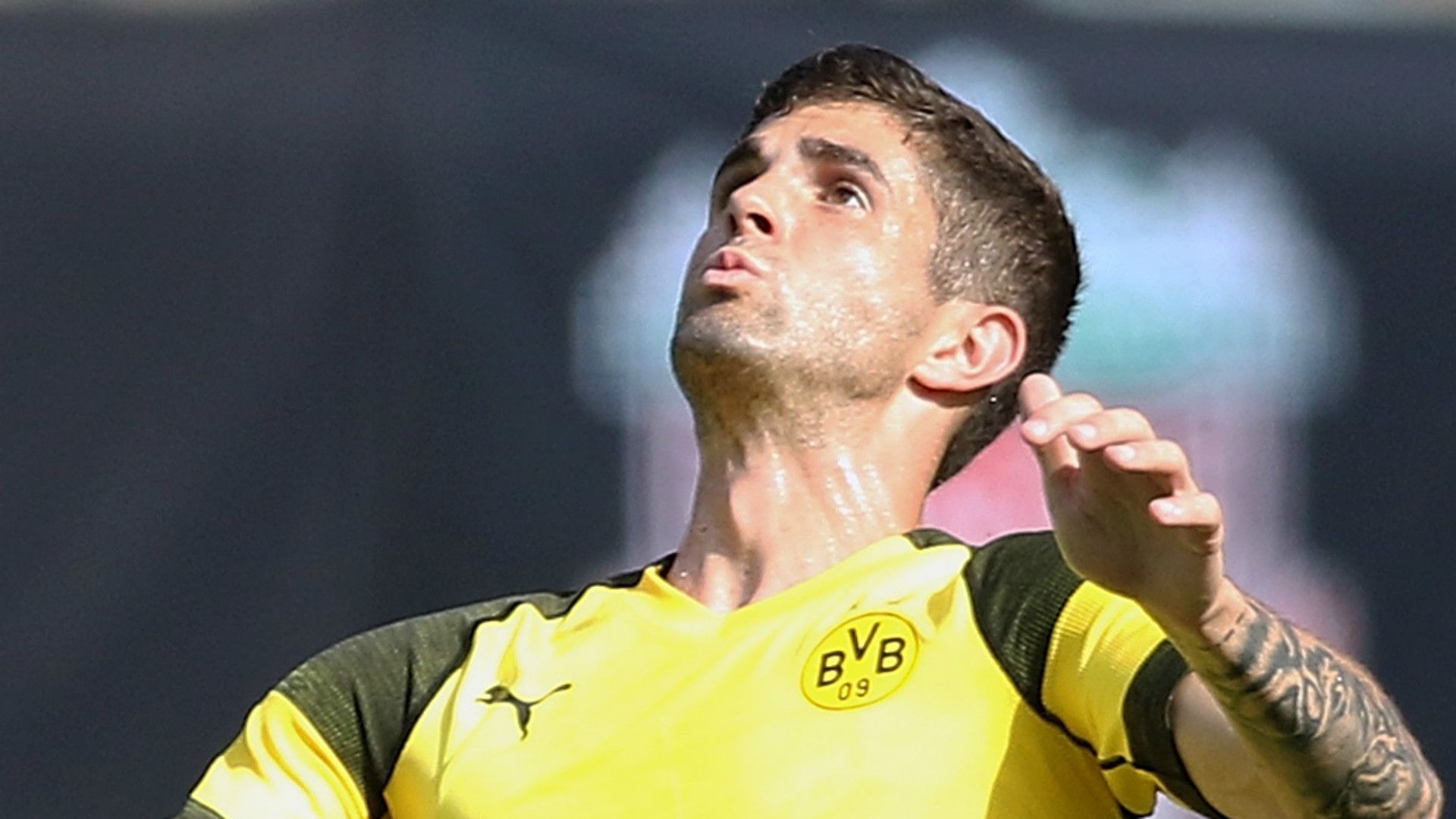 Christian Pulisic Borussia Dortmund 2018-19