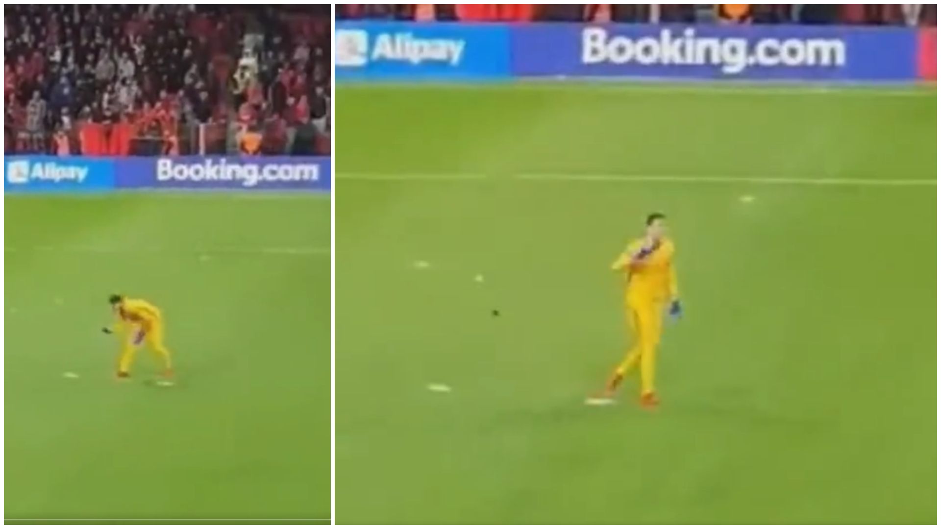 Szczesny Albania Polonia