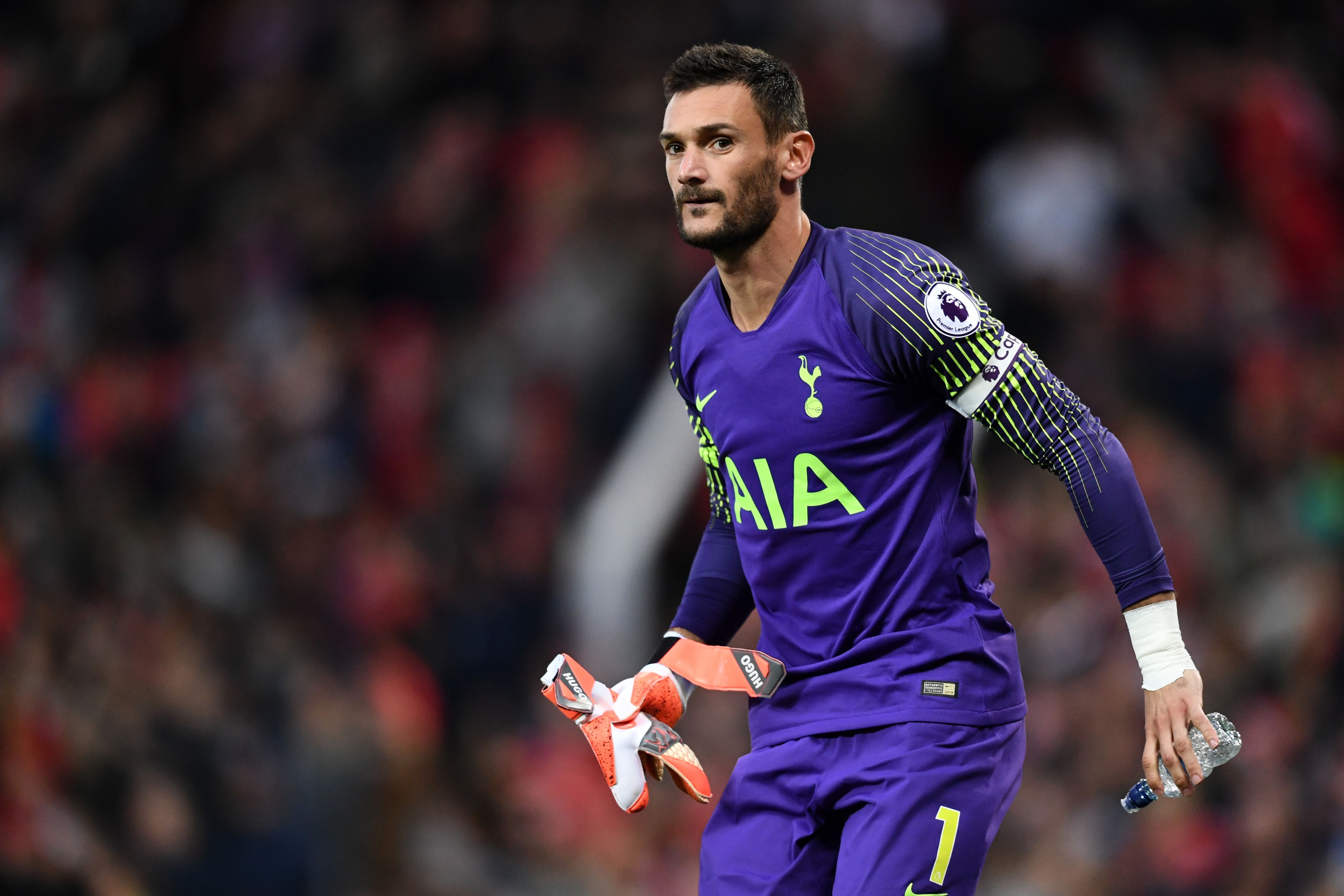 Manchester United Tottenham Premier League 2018-19