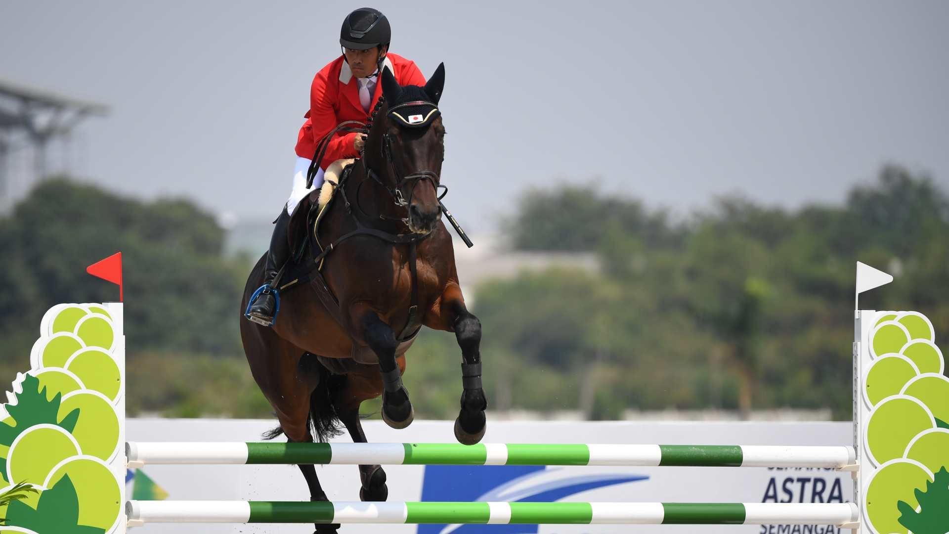 equestrian