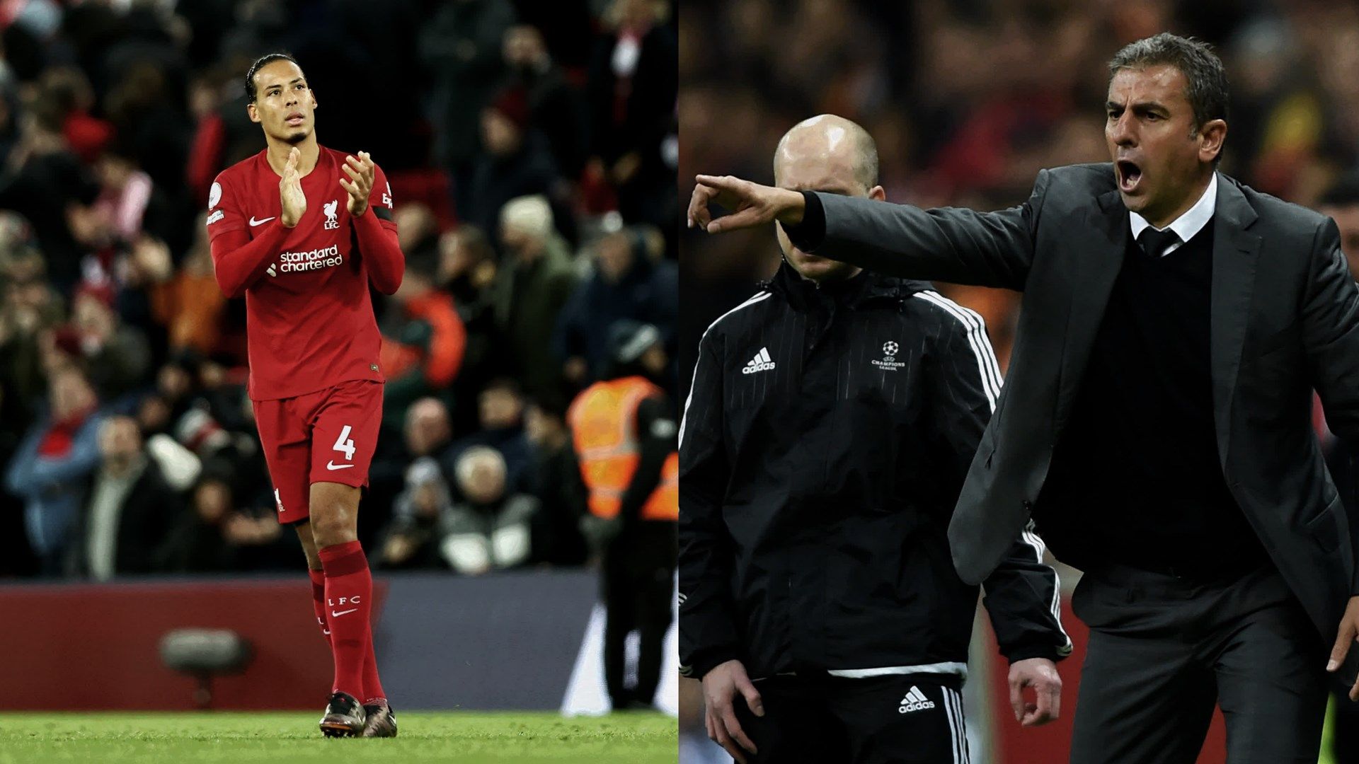 Virgil van Dijk, Hamza Hamzaoglu