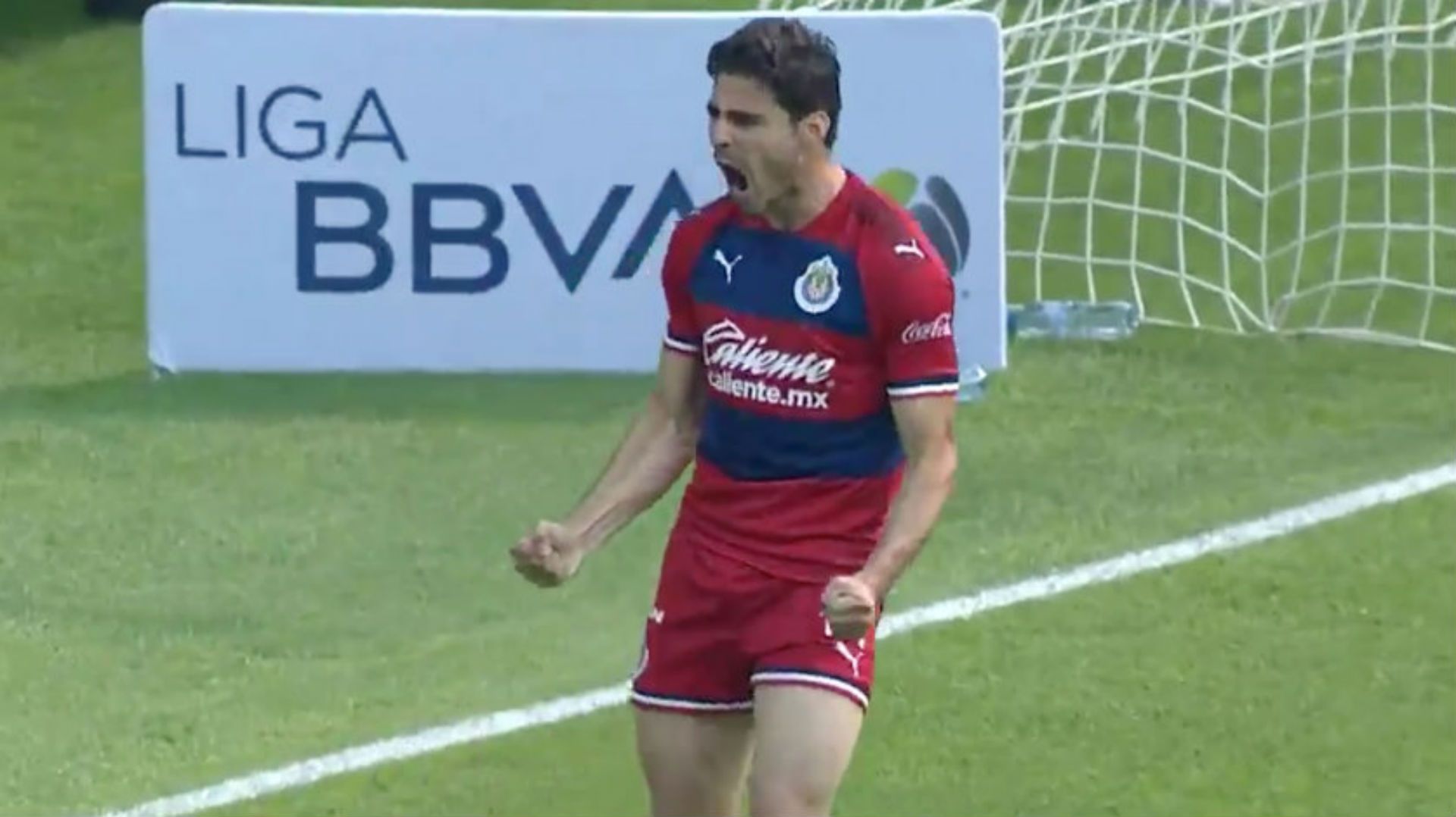 Festejo Pollo Briseño