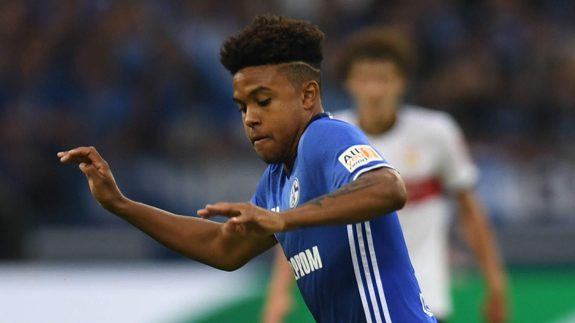 Weston McKennie Schalke Stuttgart