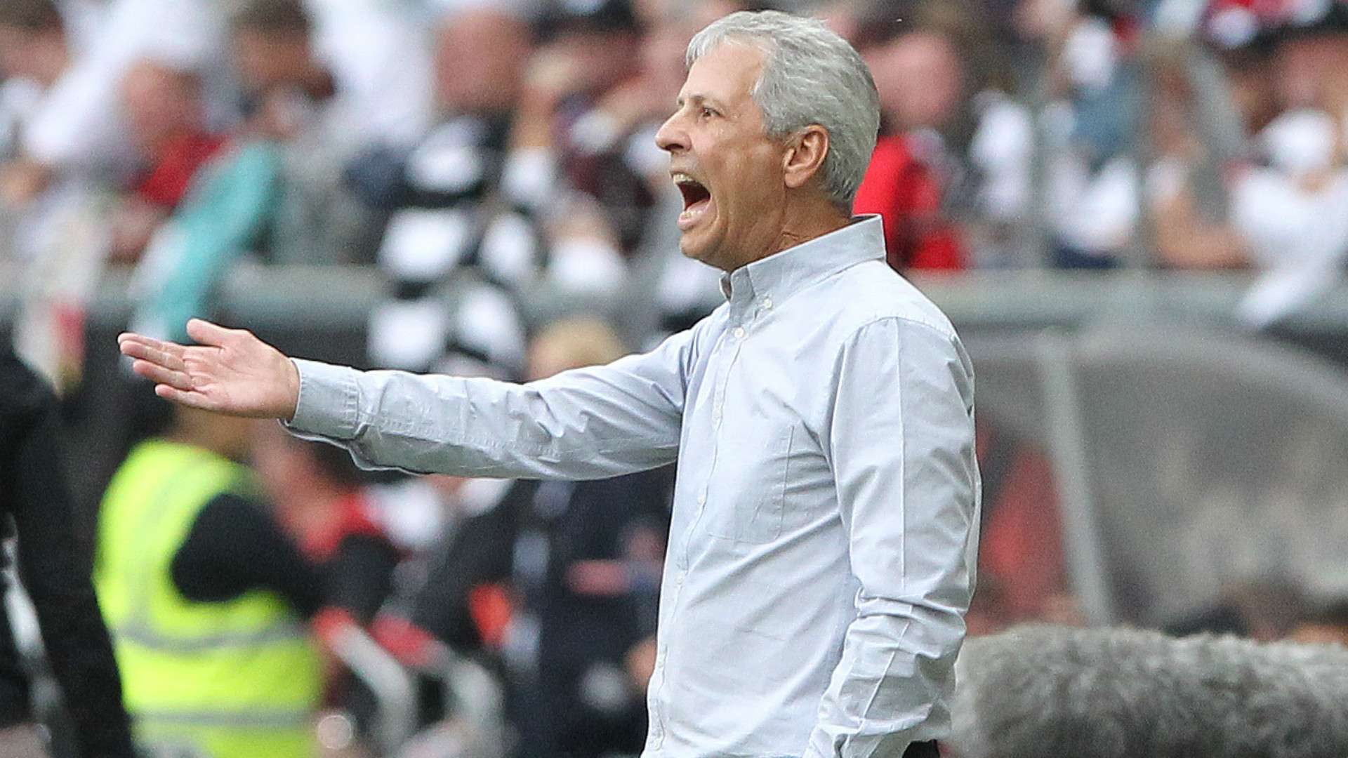 Lucien Favre Borussia Dortmund 2019