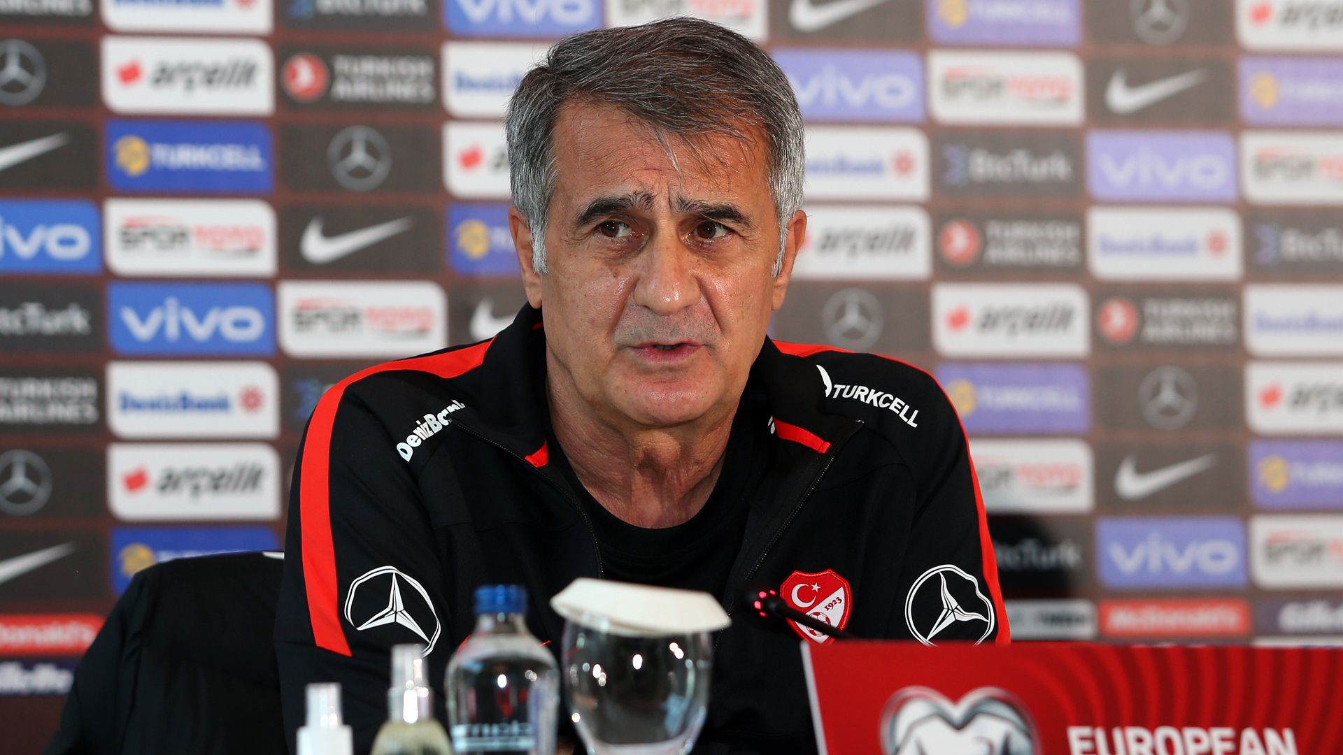 senol gunes turkey coach