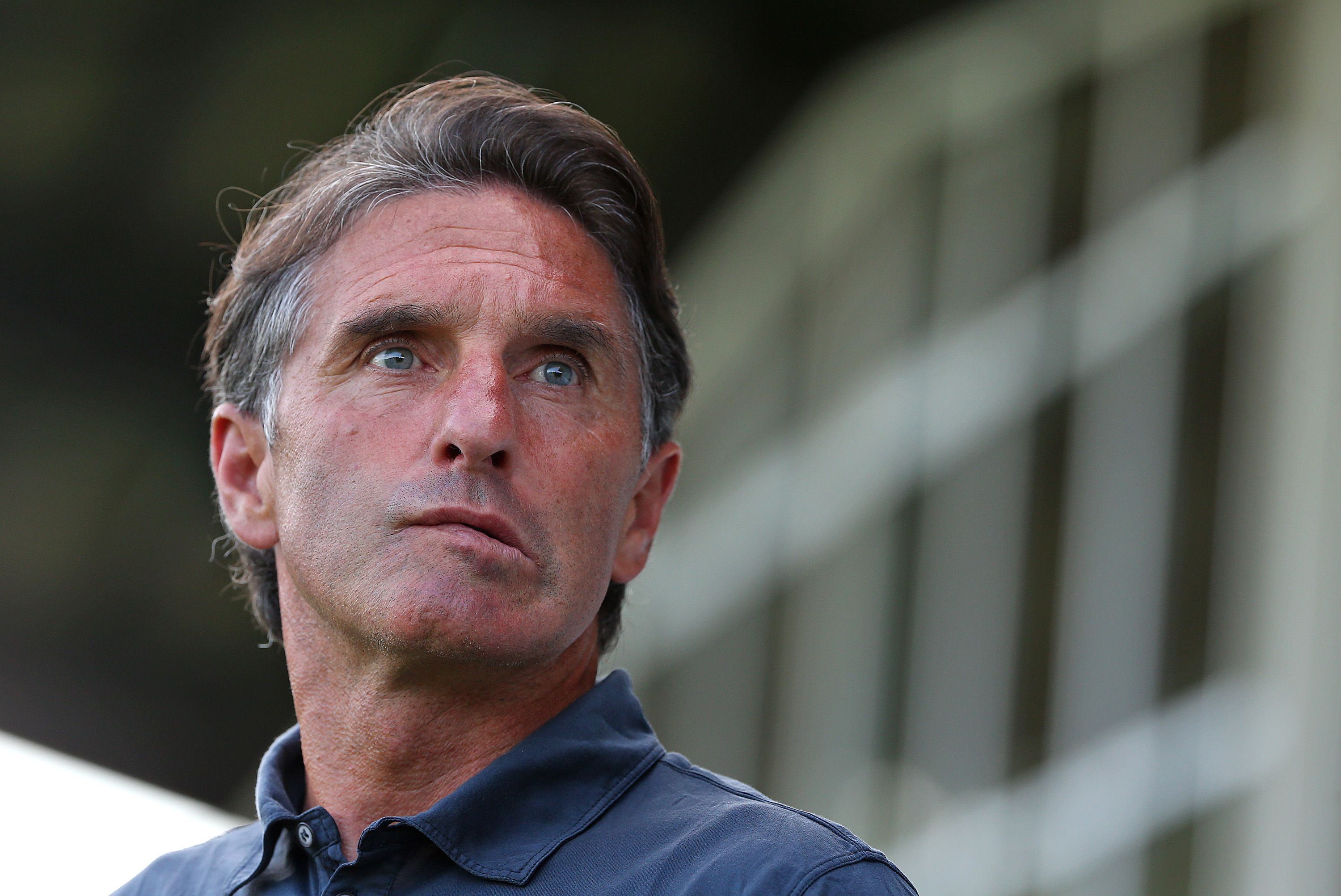 Bruno Labbadia Wolfsburg