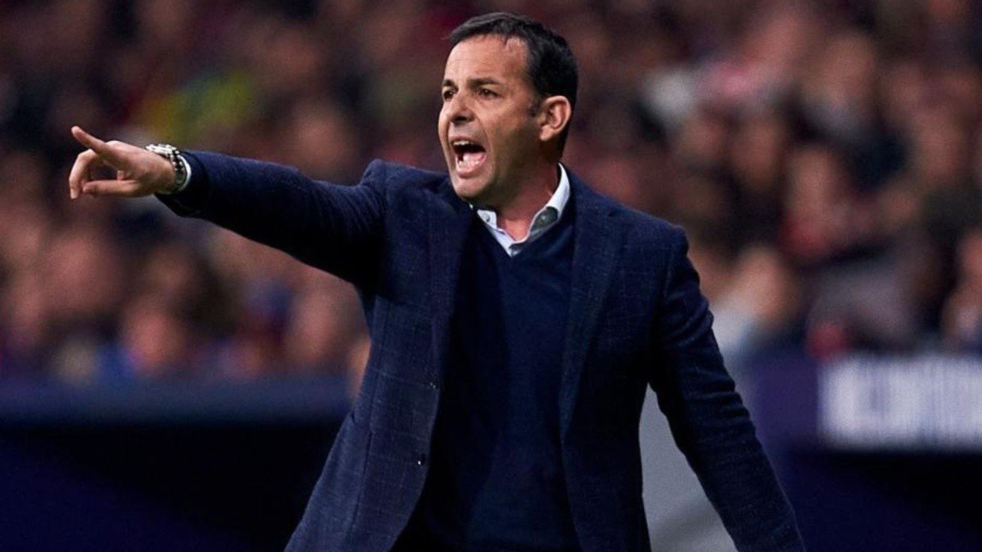 Javier Calleja América