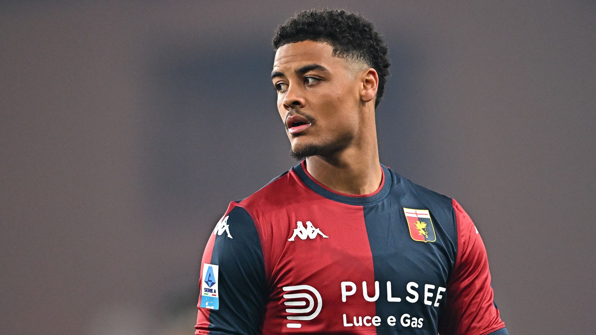 Koni De Winter Genoa